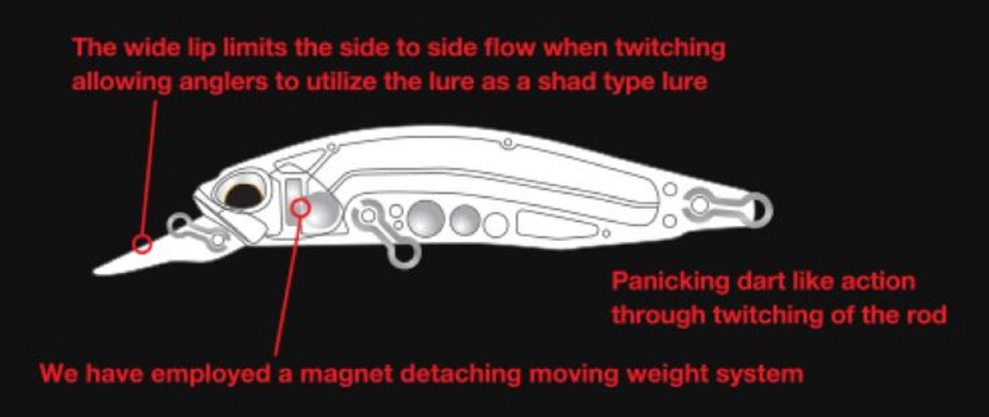 Lure Haven Singapore