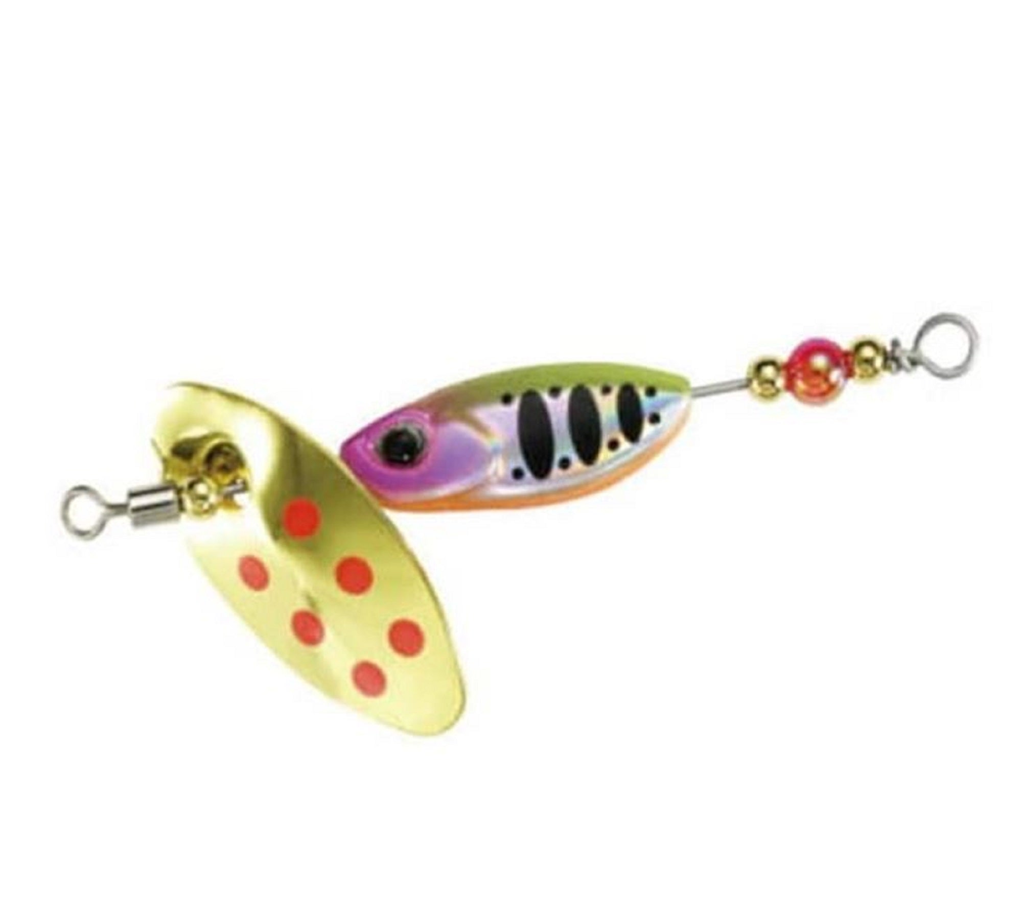 Lure Haven Singapore