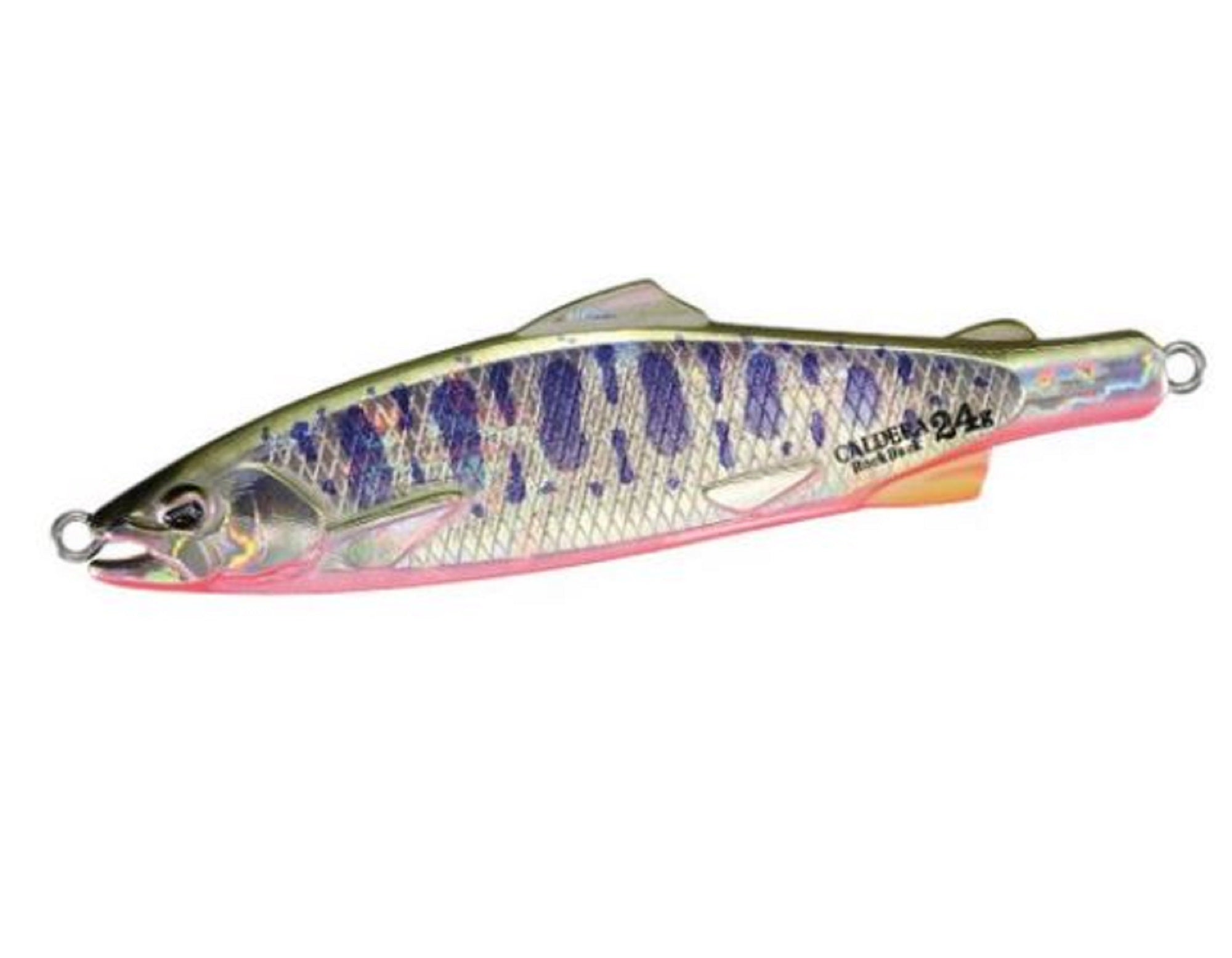 Lure Haven Singapore