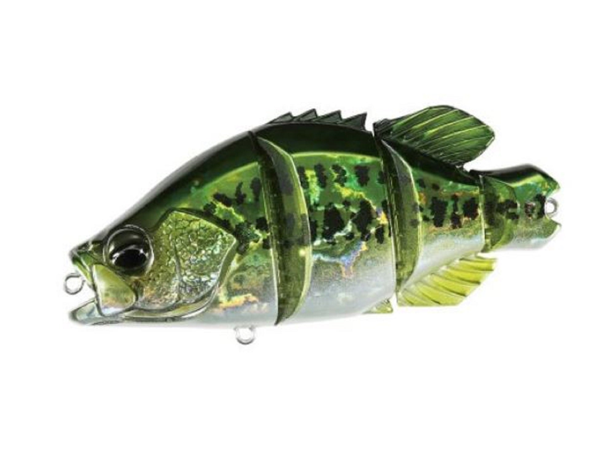 Lure Haven Singapore