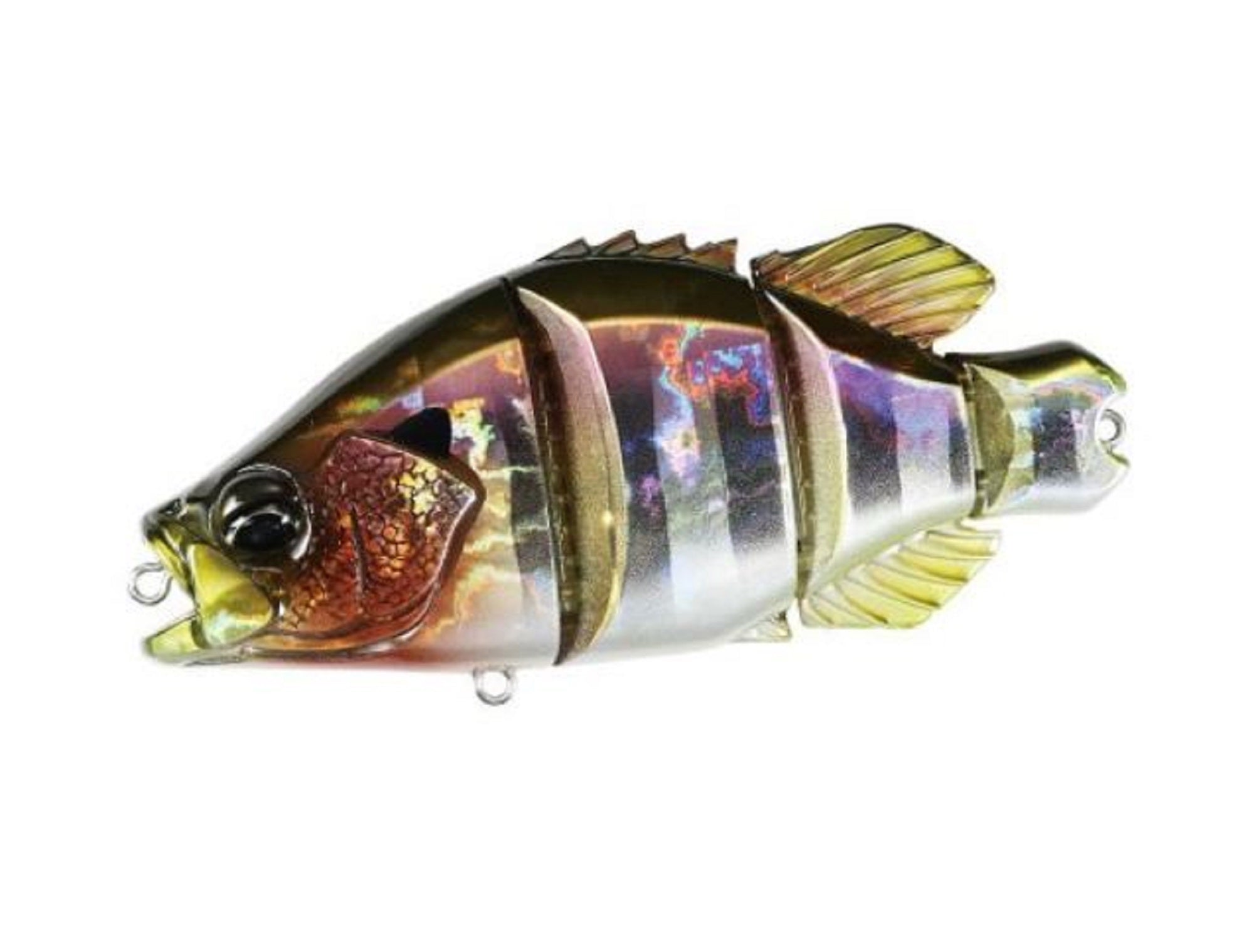 Lure Haven Singapore
