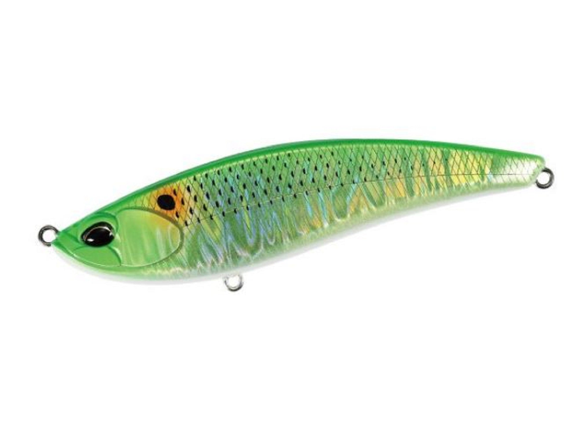 Lure Haven Singapore