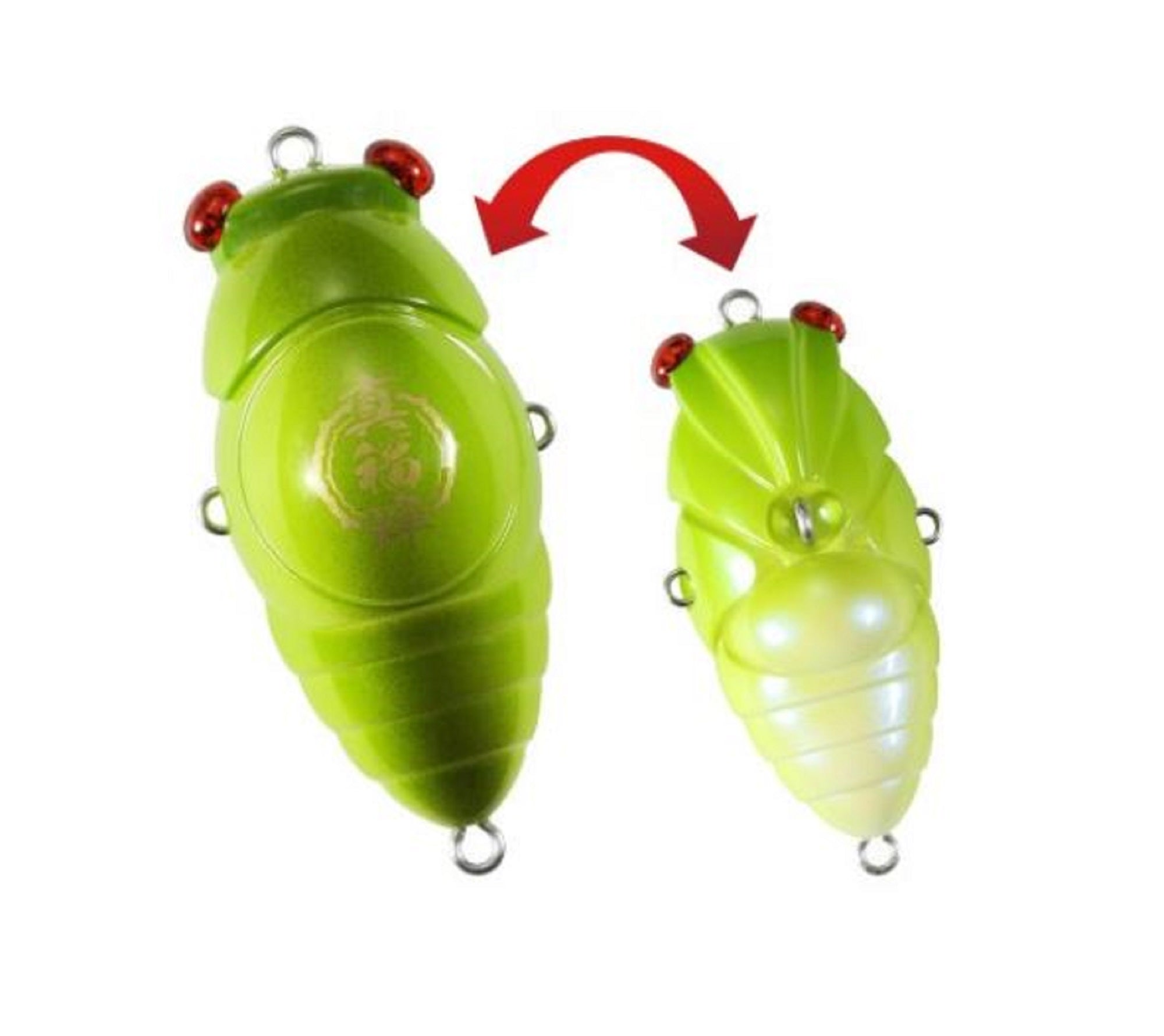 Lure Haven Singapore