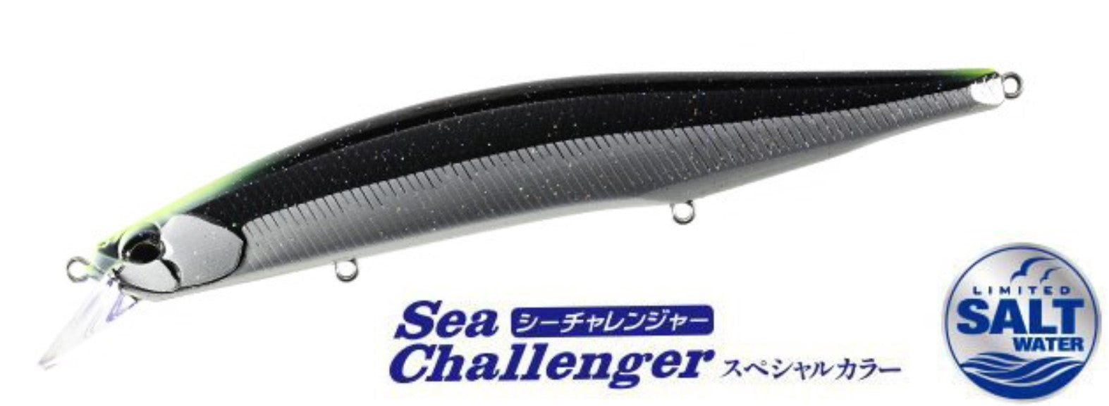 Duo Realis Jerkbait 160S SW Sinking Lure CVI3567 (6382)