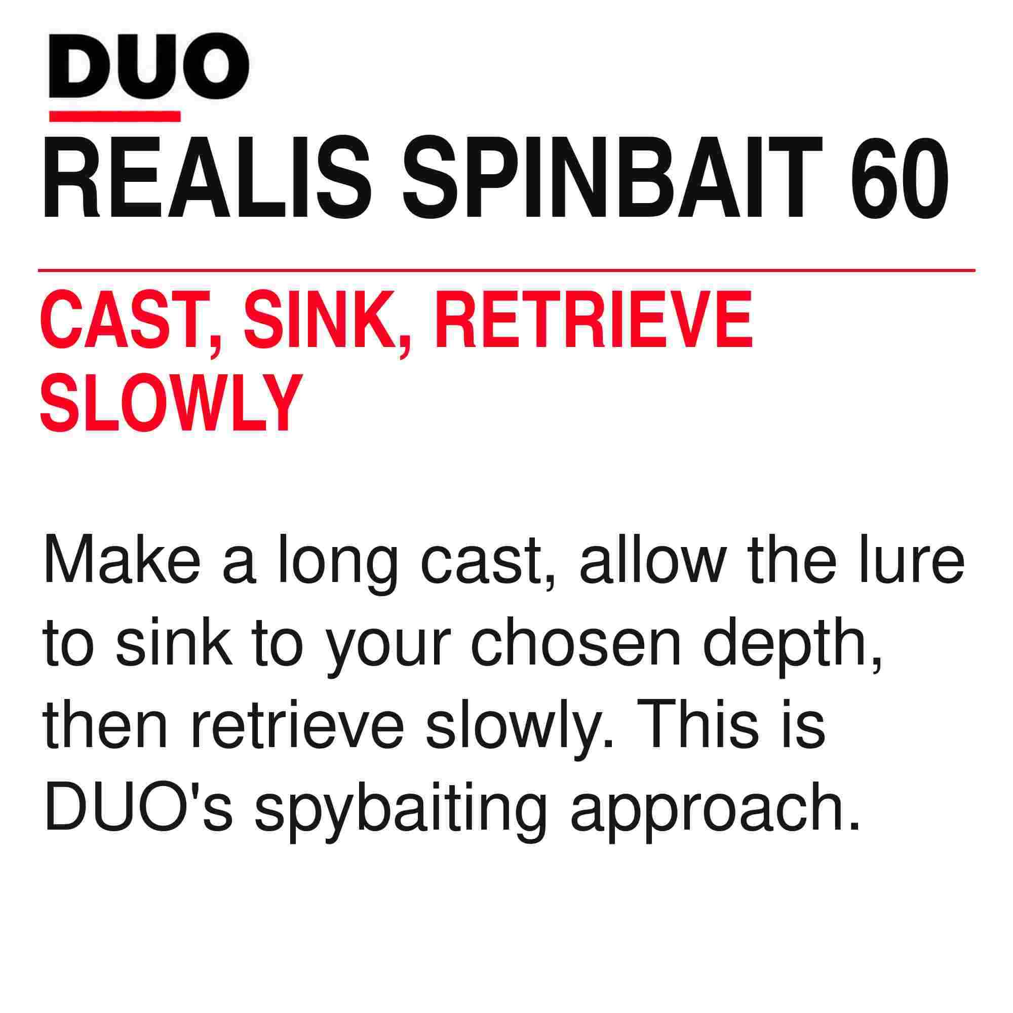 Duo Realis Spin Bait 60 spinbait spybait Sinking Lure CWA3006 (2610)