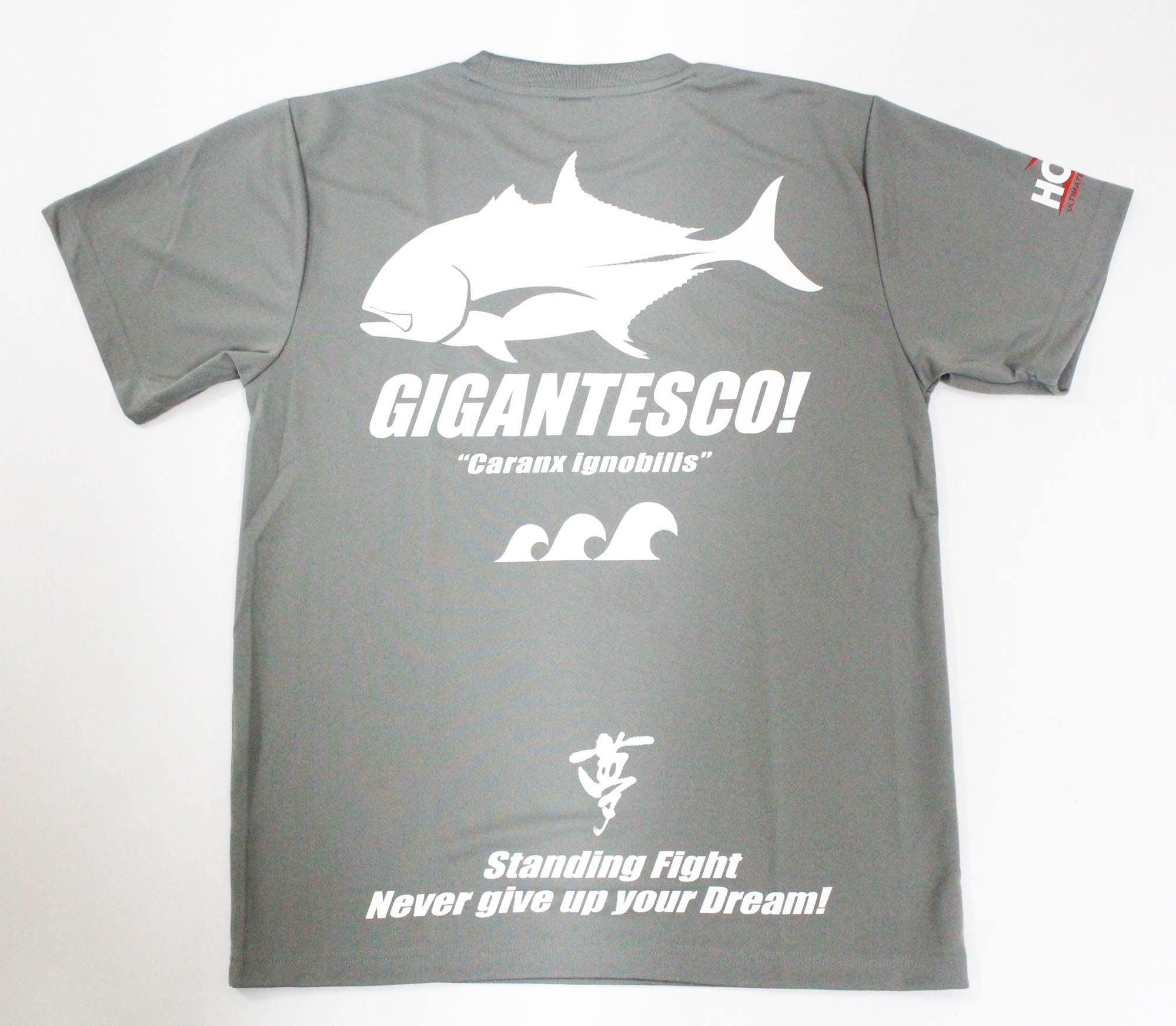 Hots T-Shirt Dry Fit Short Sleeve GT Size L Gray (3282)