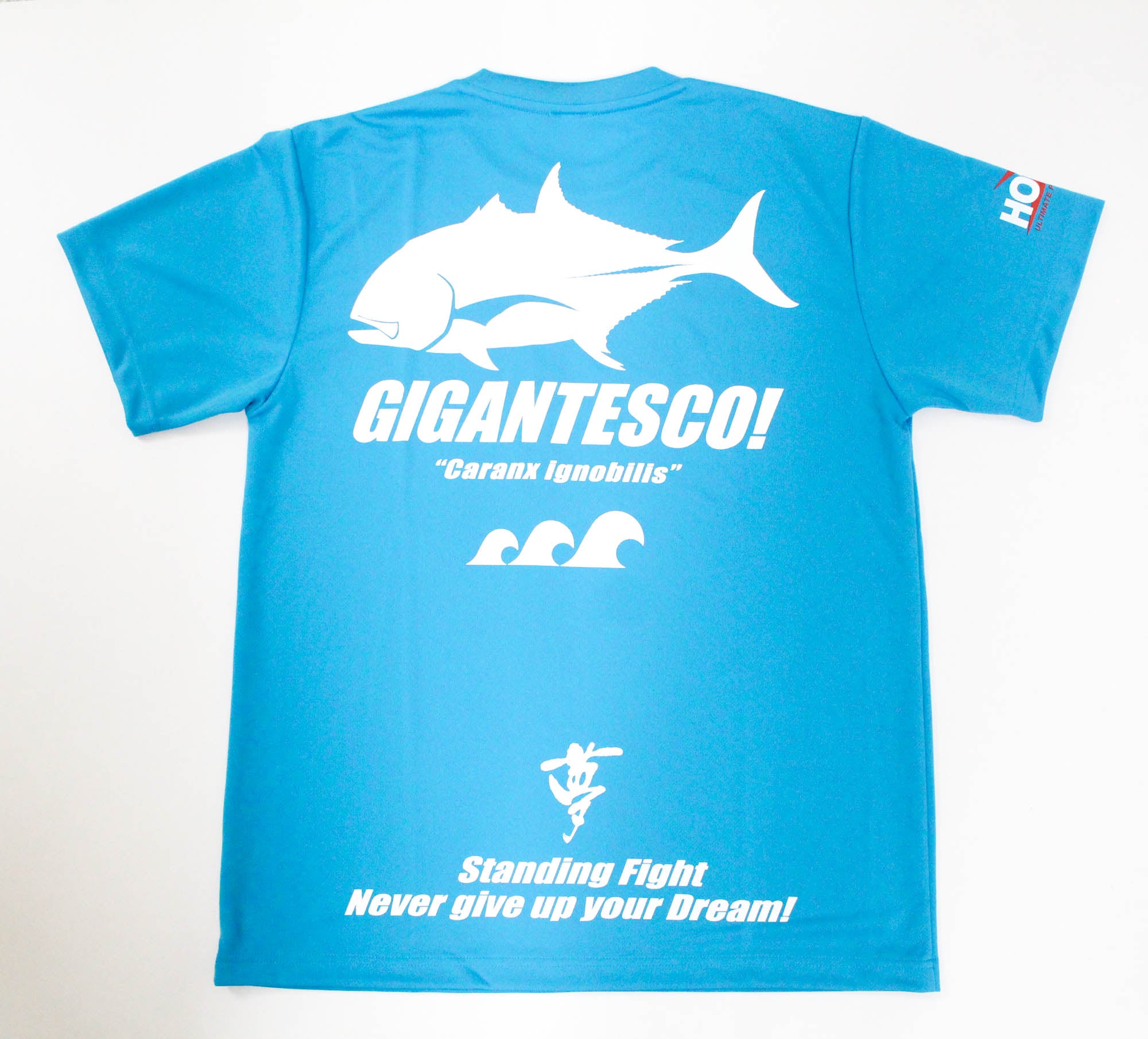 Hots T-Shirt Dry Fit Short Sleeve GT Size L Light Blue (3305)