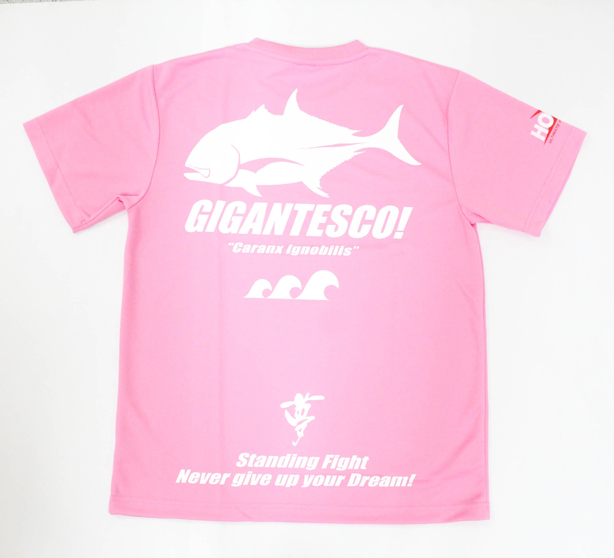 Hots T-Shirt Dry Fit Short Sleeve GT Size L Pink (3329)