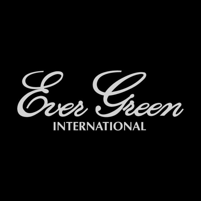 Evergreen Sticker Boat Car Decal 
