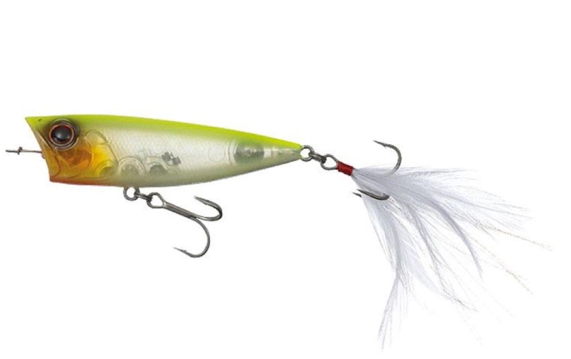 Lure Haven Singapore