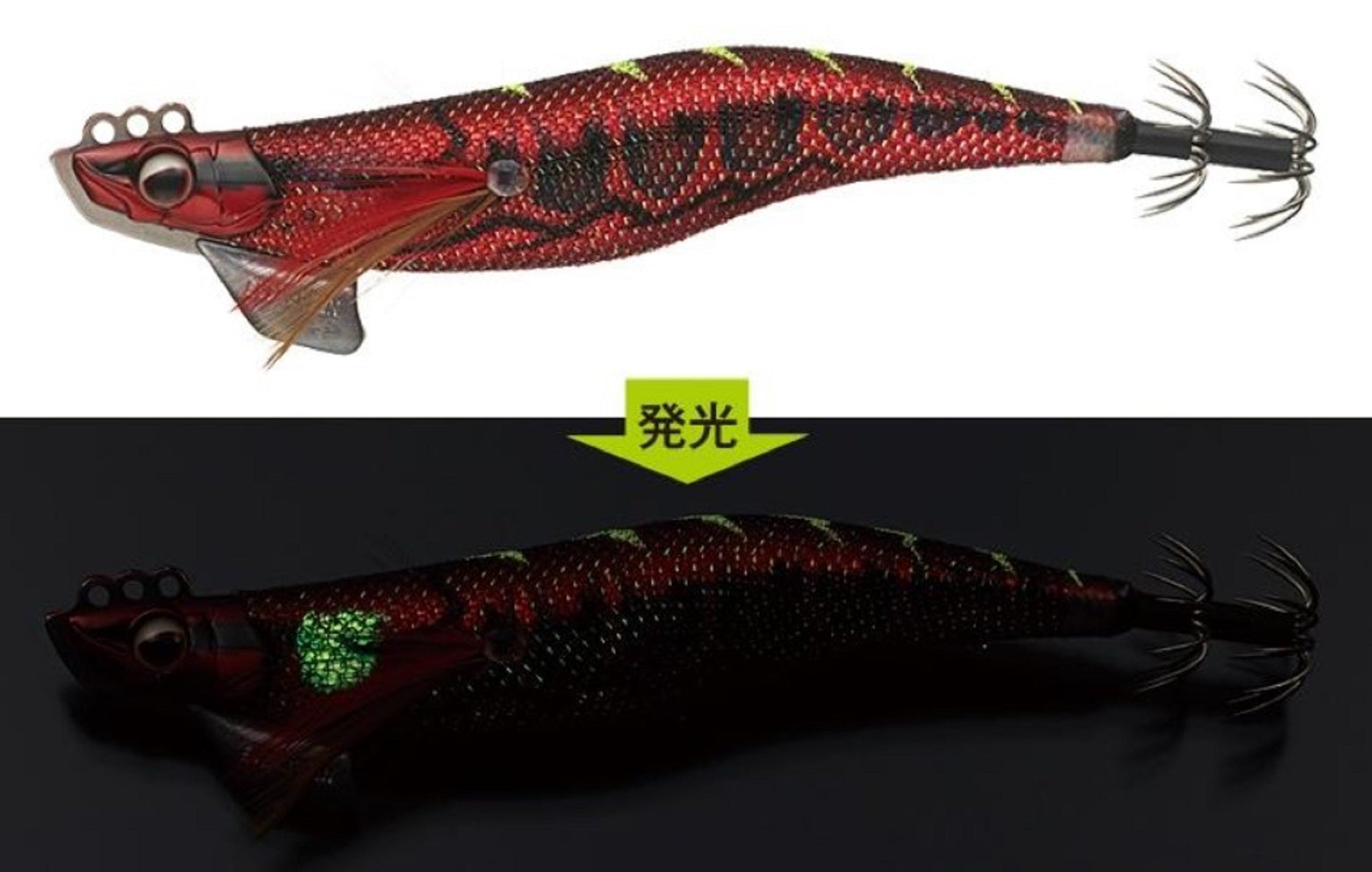 Lure Haven Singapore