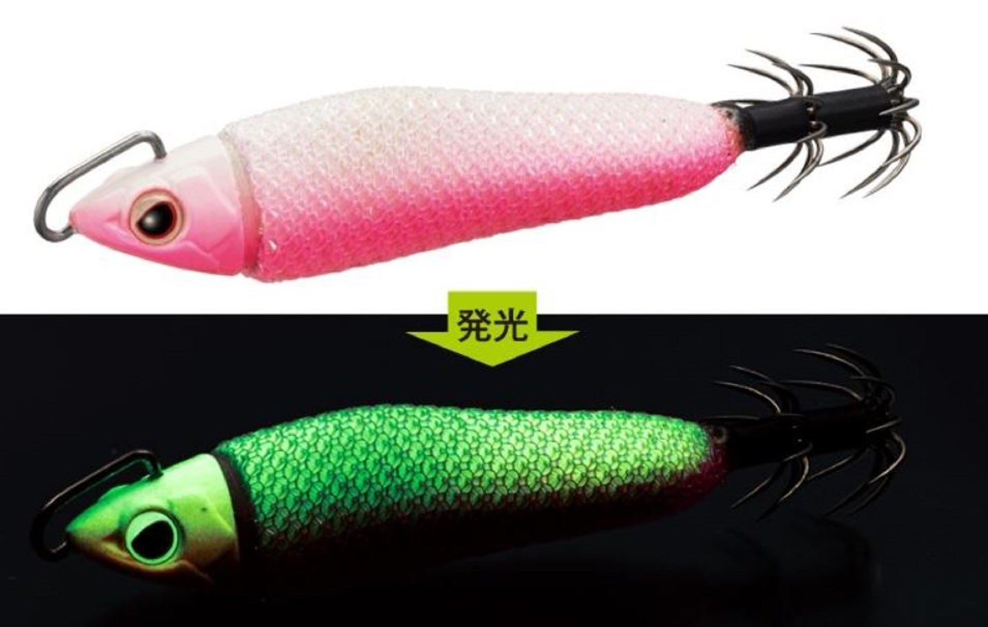 Lure Haven Singapore