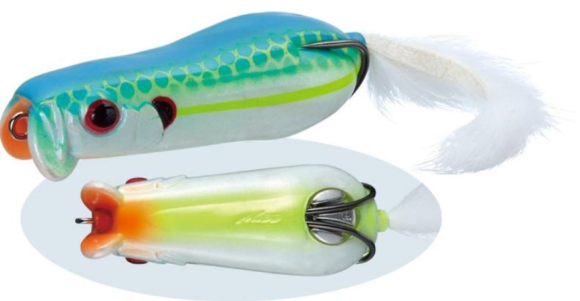 Lure Haven Singapore