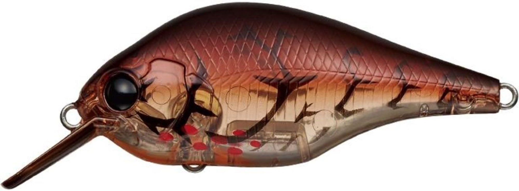 Sale Evergreen Zeruch 72 mm 19.5 grams Floating Lure 82 (2521)