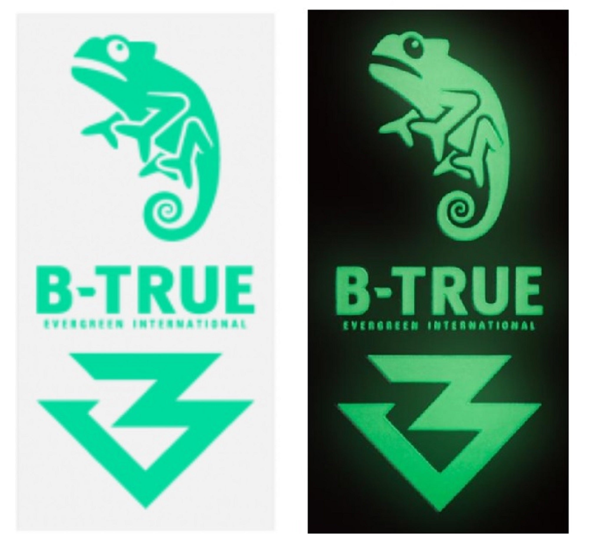 Evergreen Decal Sticker B-True Mark Green (9162)