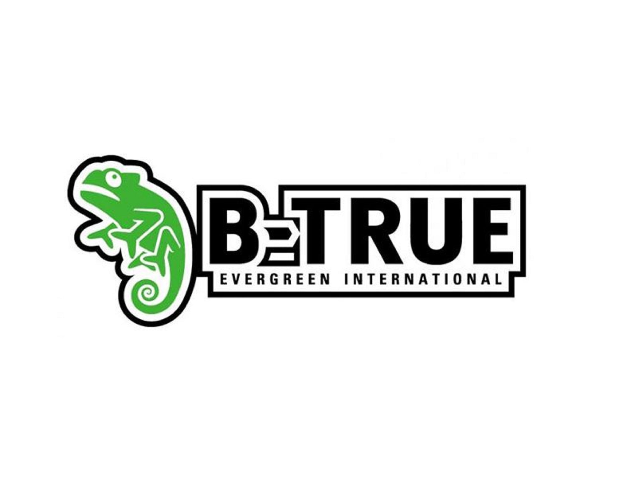 Evergreen Decal Sticker B-True W400 (1790)