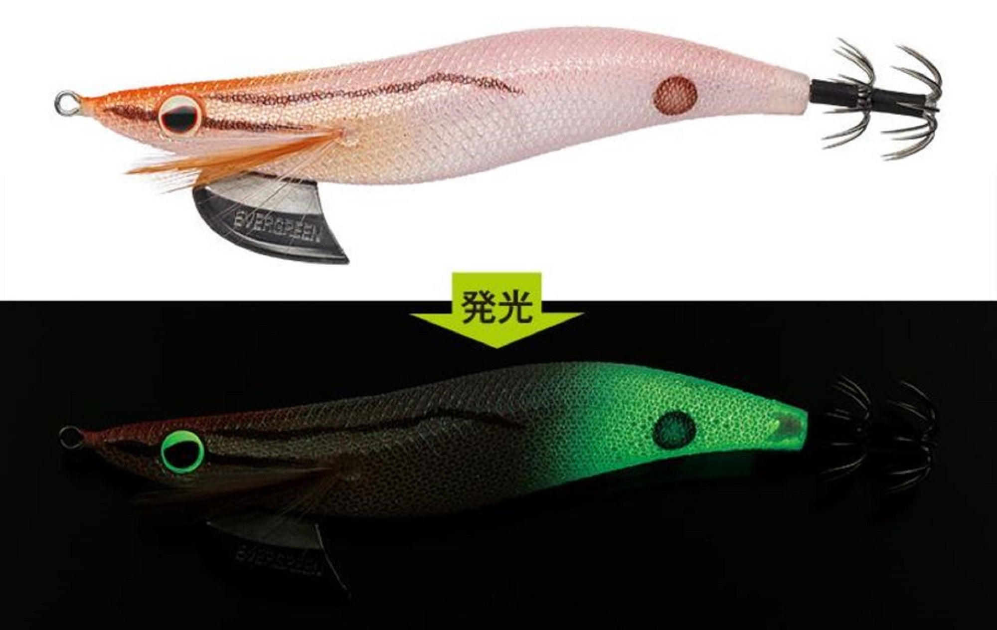 Sale Evergreen Ocean Fleet Custom Squid Jig Lure 3.0 0223GL (6887)