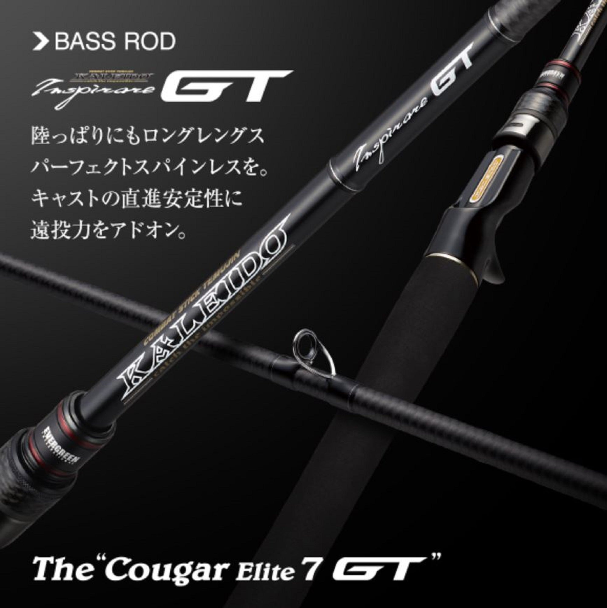 Evergreen Rod Baitcast Inspirare IGTC 71 MF SXF 