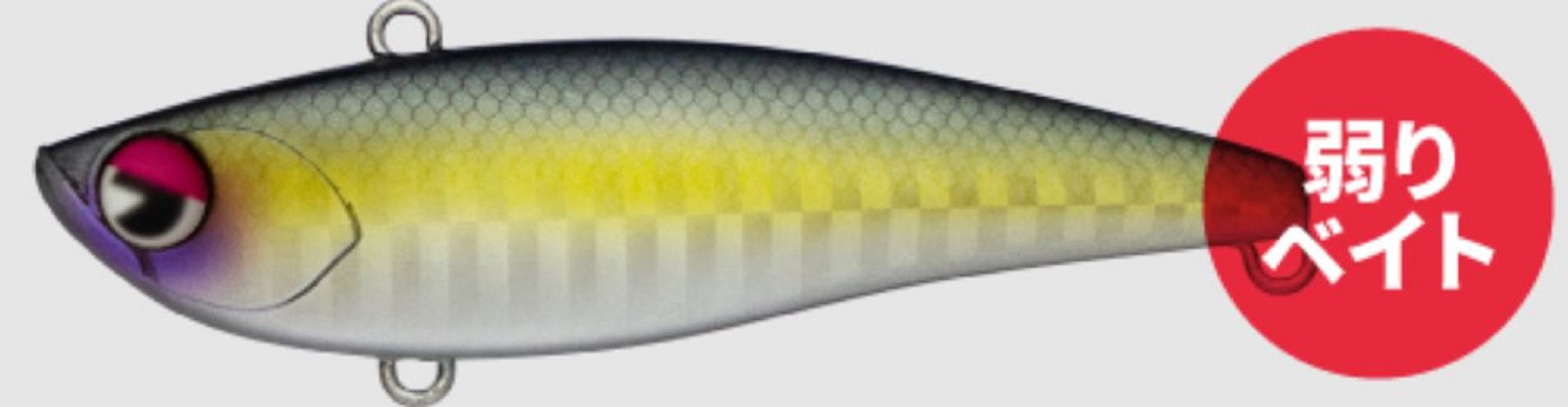 Lure Haven Singapore