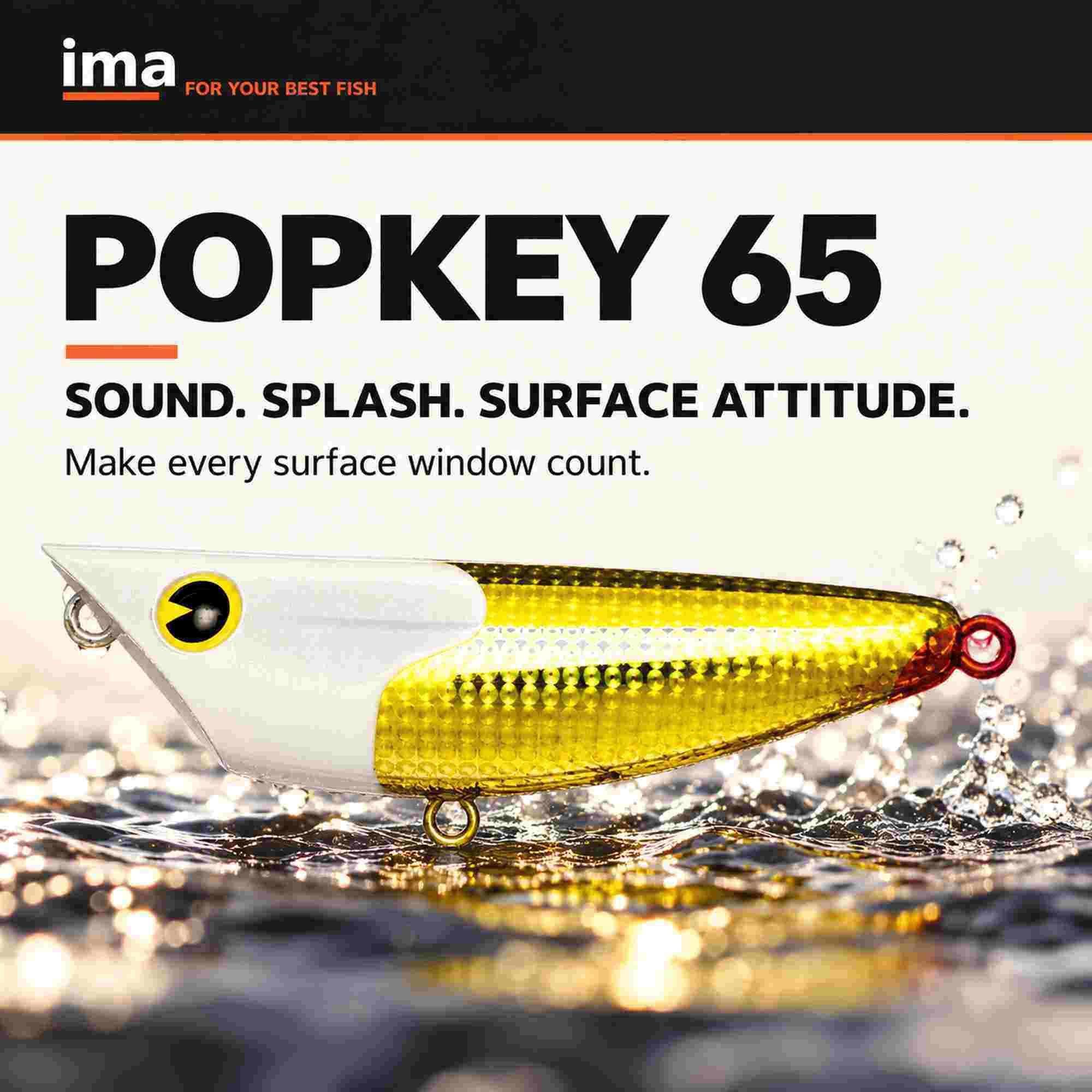Ima Popkey 65 Rattle Pencil Floating Lure X5688 (4172)