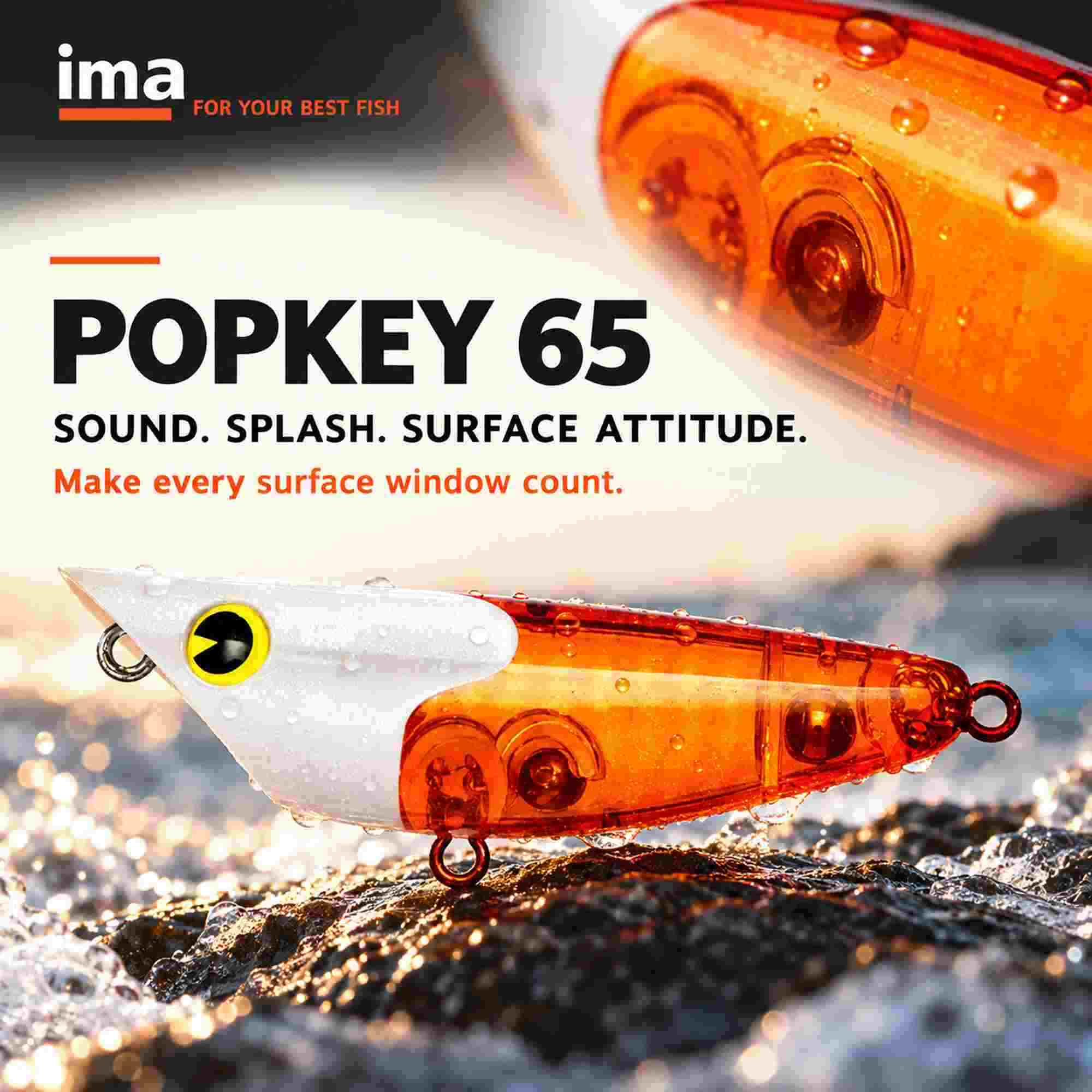 Ima Popkey 65 Rattle Pencil Floating Lure X5689 (4189)