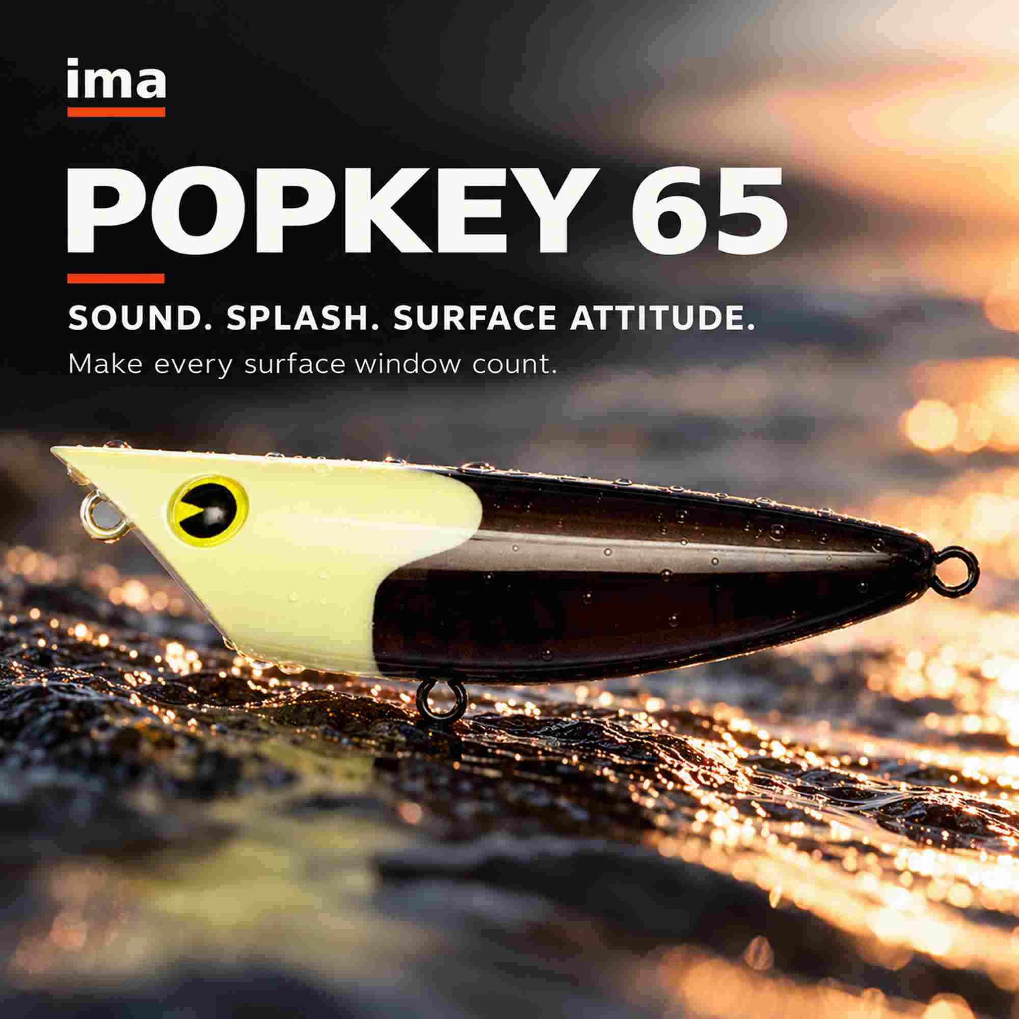 Ima Popkey 65 Rattle Pencil Floating Lure X5690 (4196)