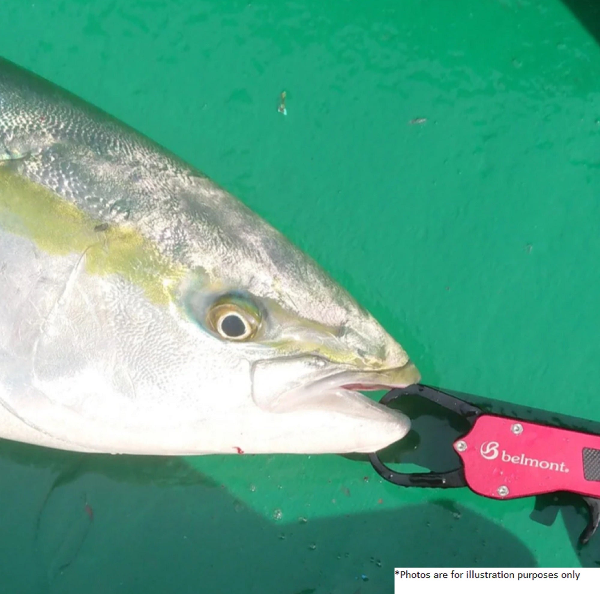 Belmont MR-006 Fish Grip Mini Aluminium 158 x 41 x 17mm Blue (0069)