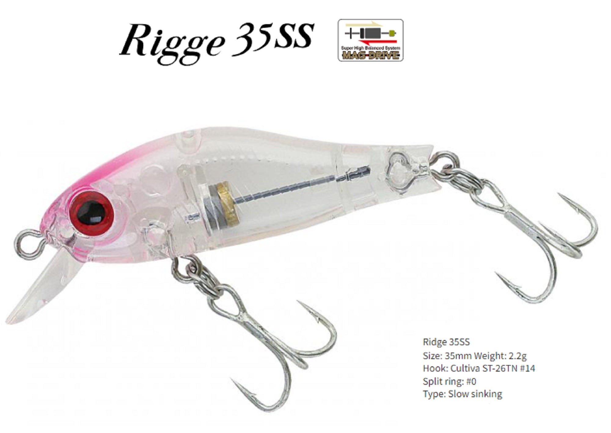 Lure Haven Singapore
