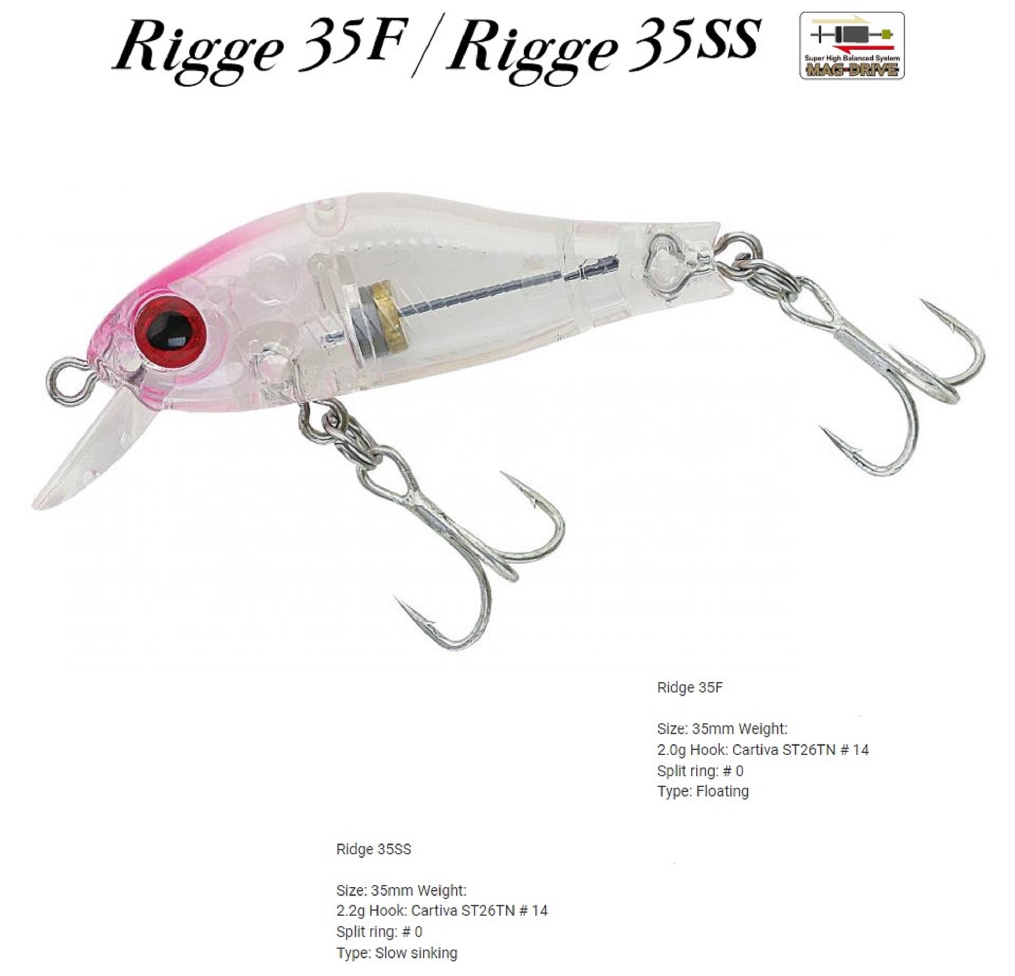 Lure Haven Singapore