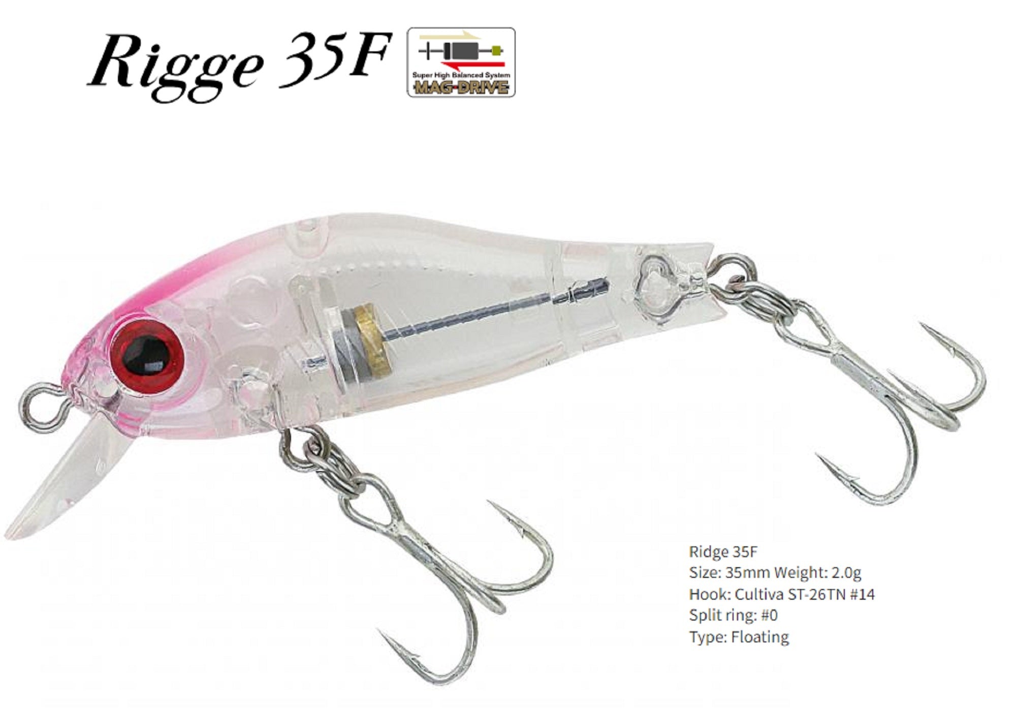Lure Haven Singapore