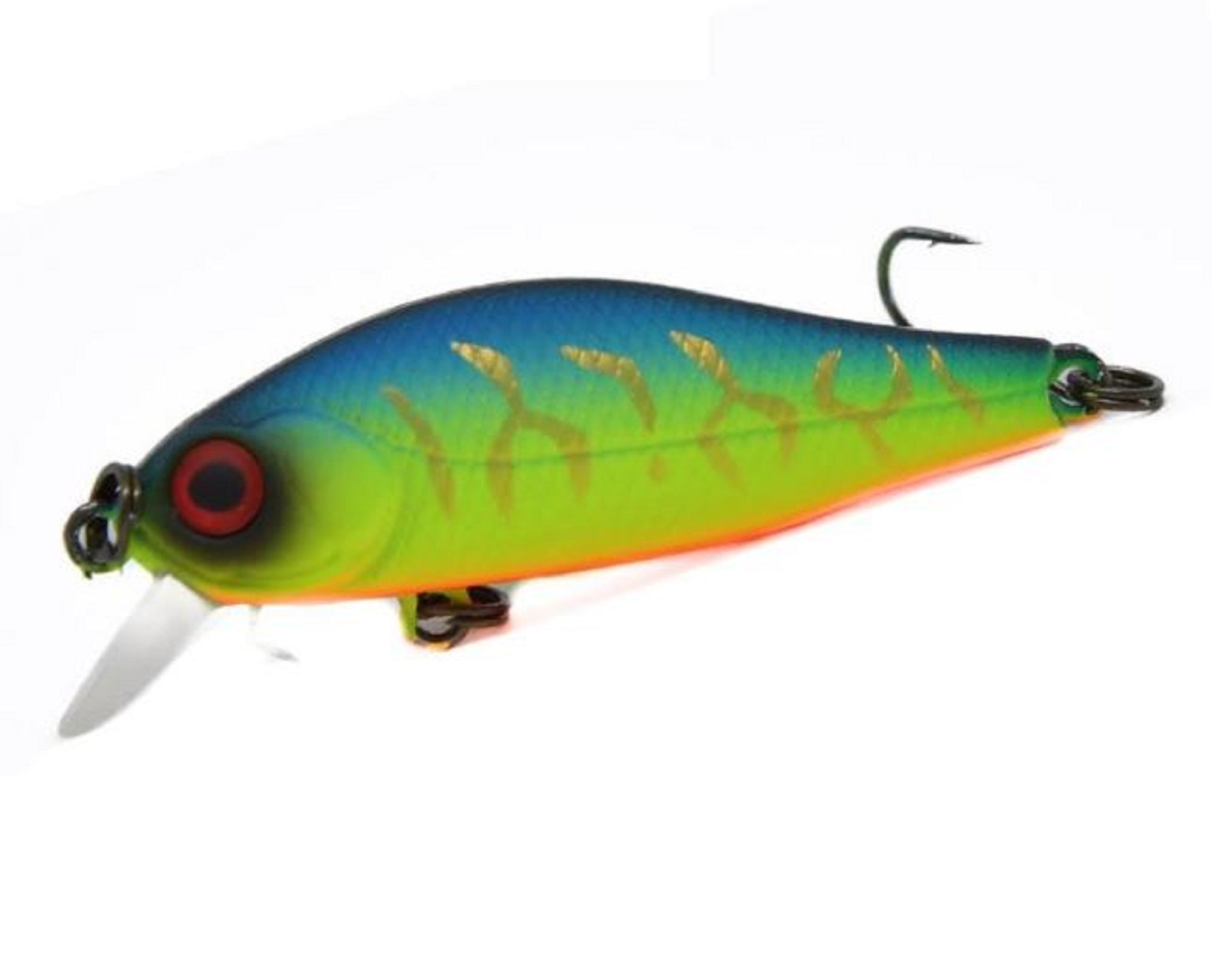 Lure Haven Singapore