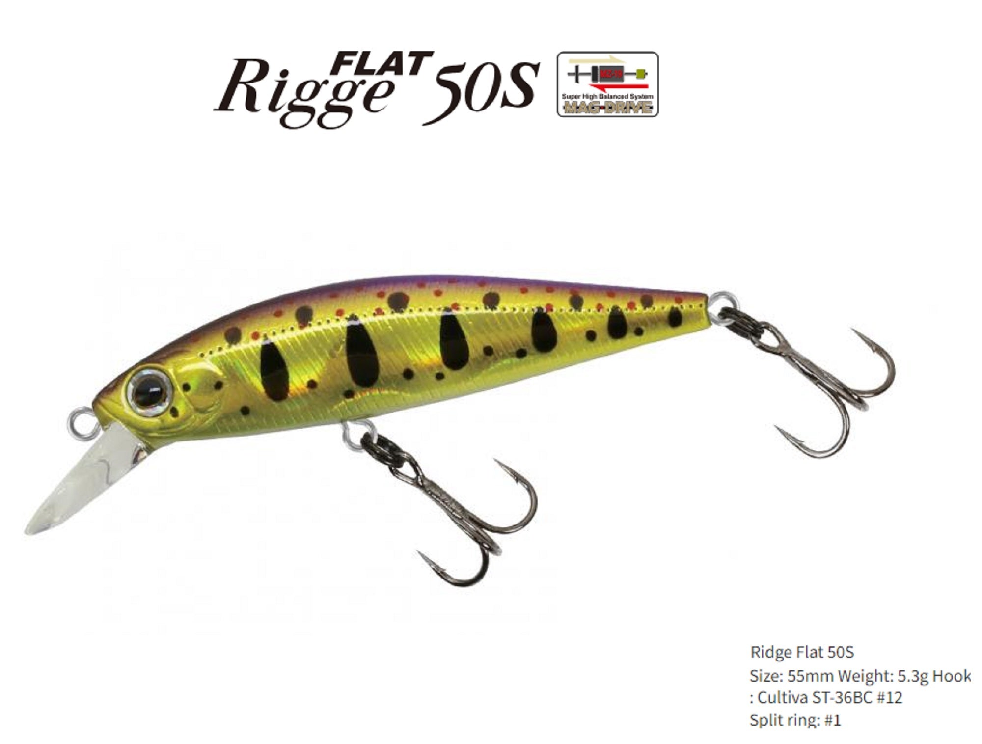 Lure Haven Singapore
