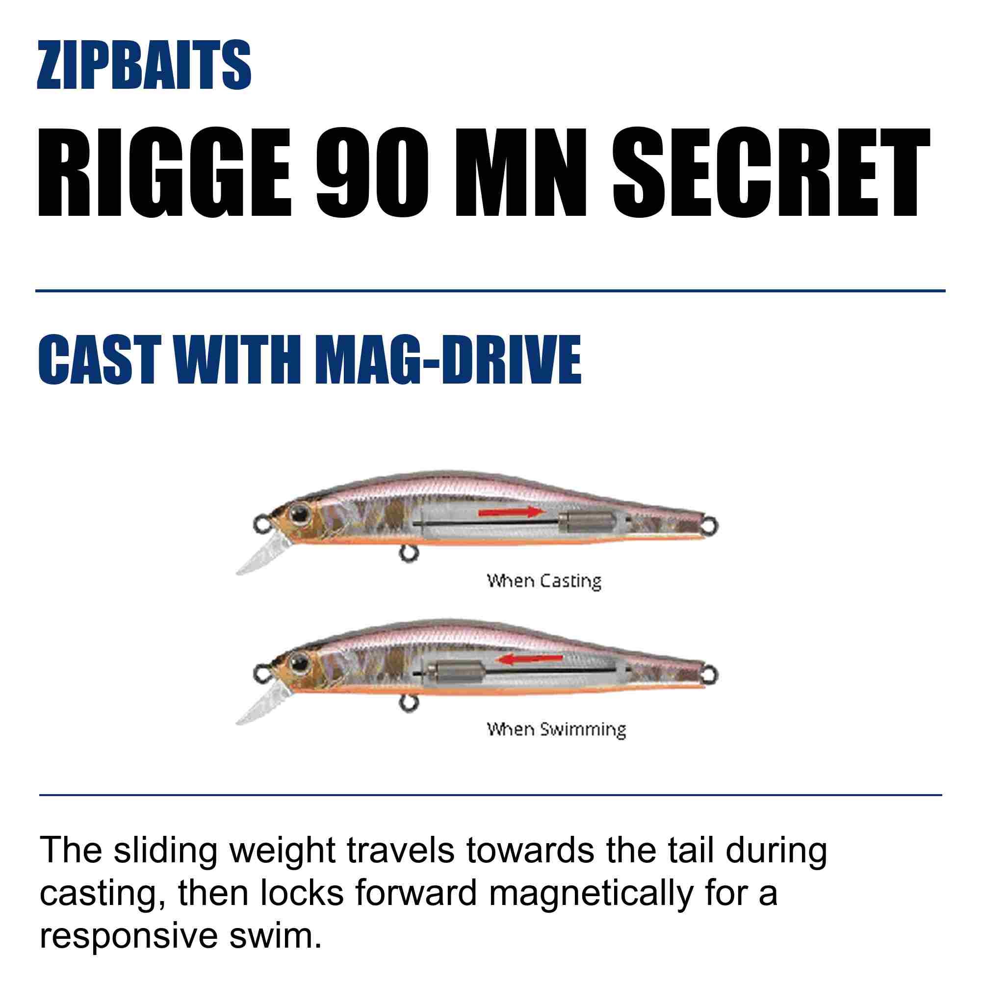 Zipbaits Rigge 90 MN Secret Slow Sinking Lure 050 (3032)