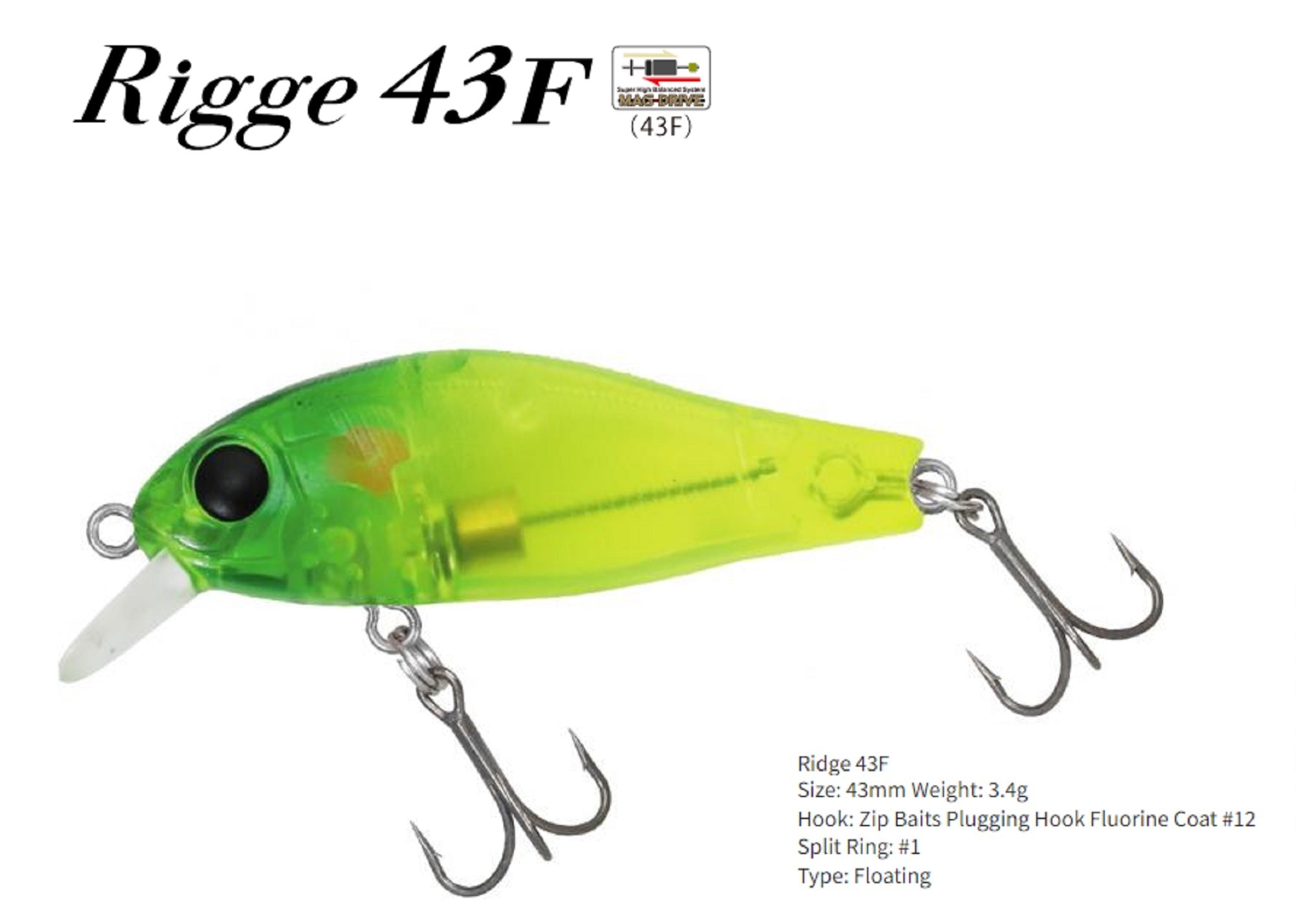 Lure Haven Singapore