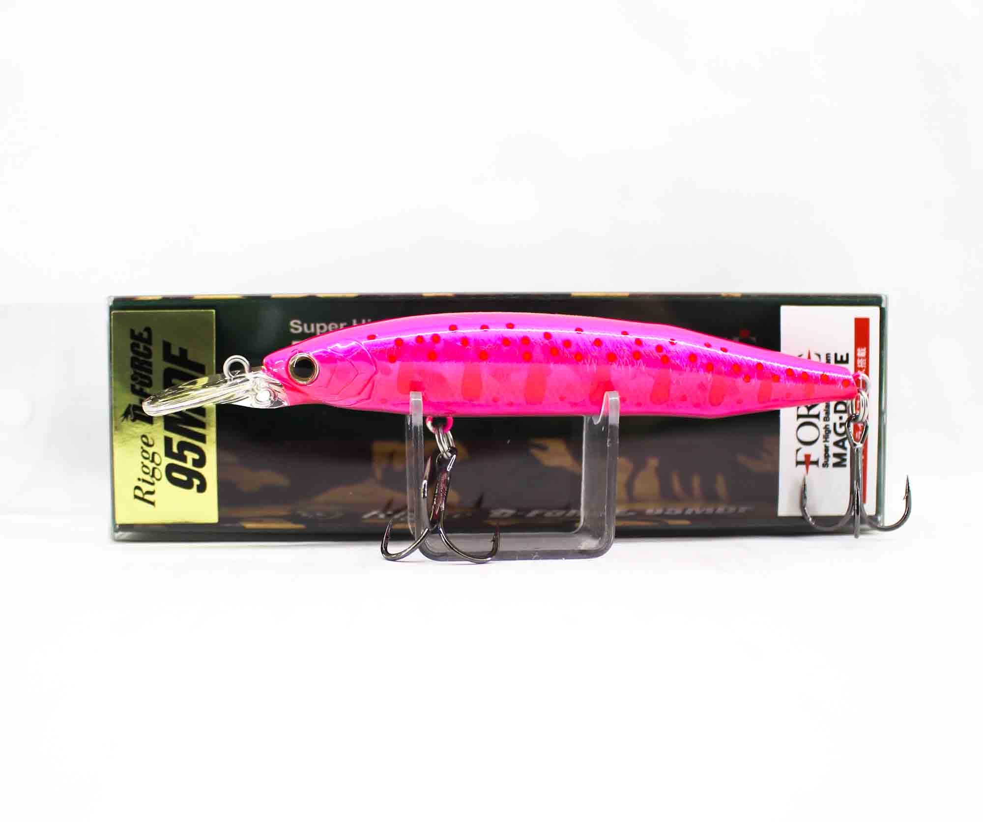 Lure Haven Singapore