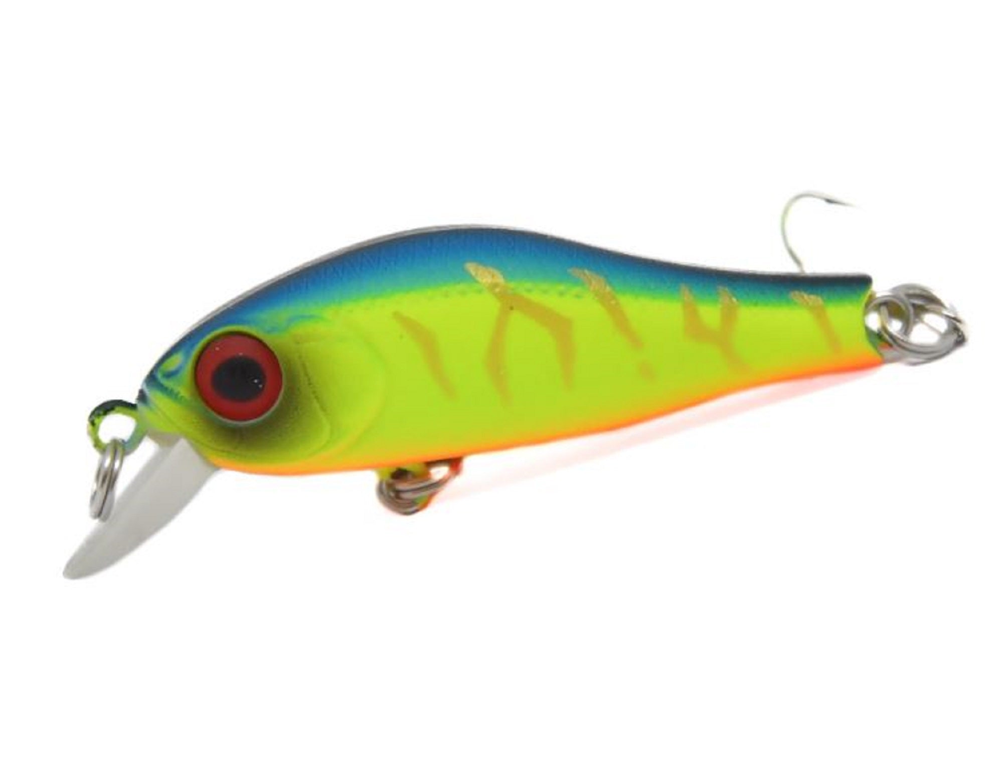 Lure Haven Singapore