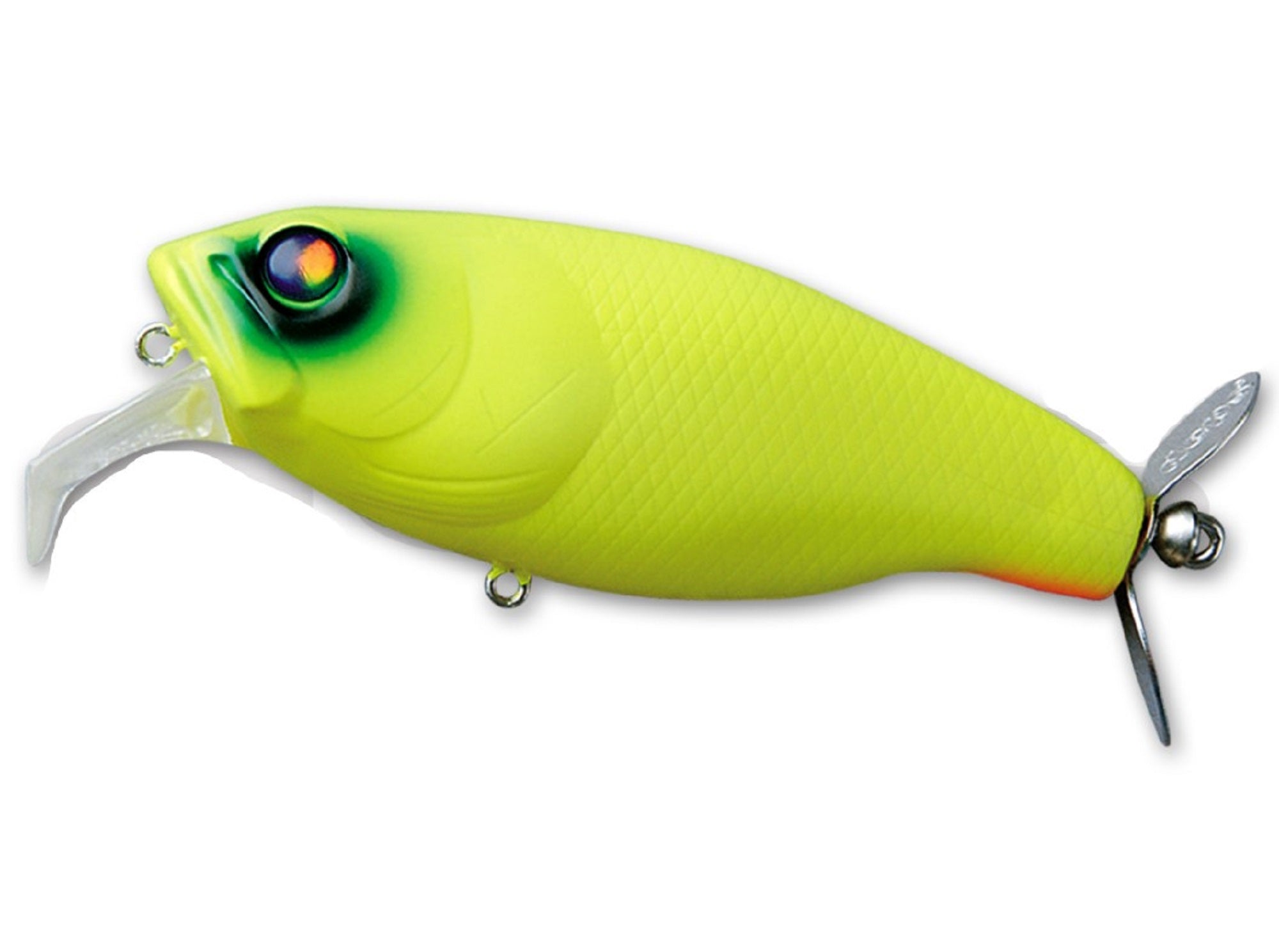 Lure Haven Singapore