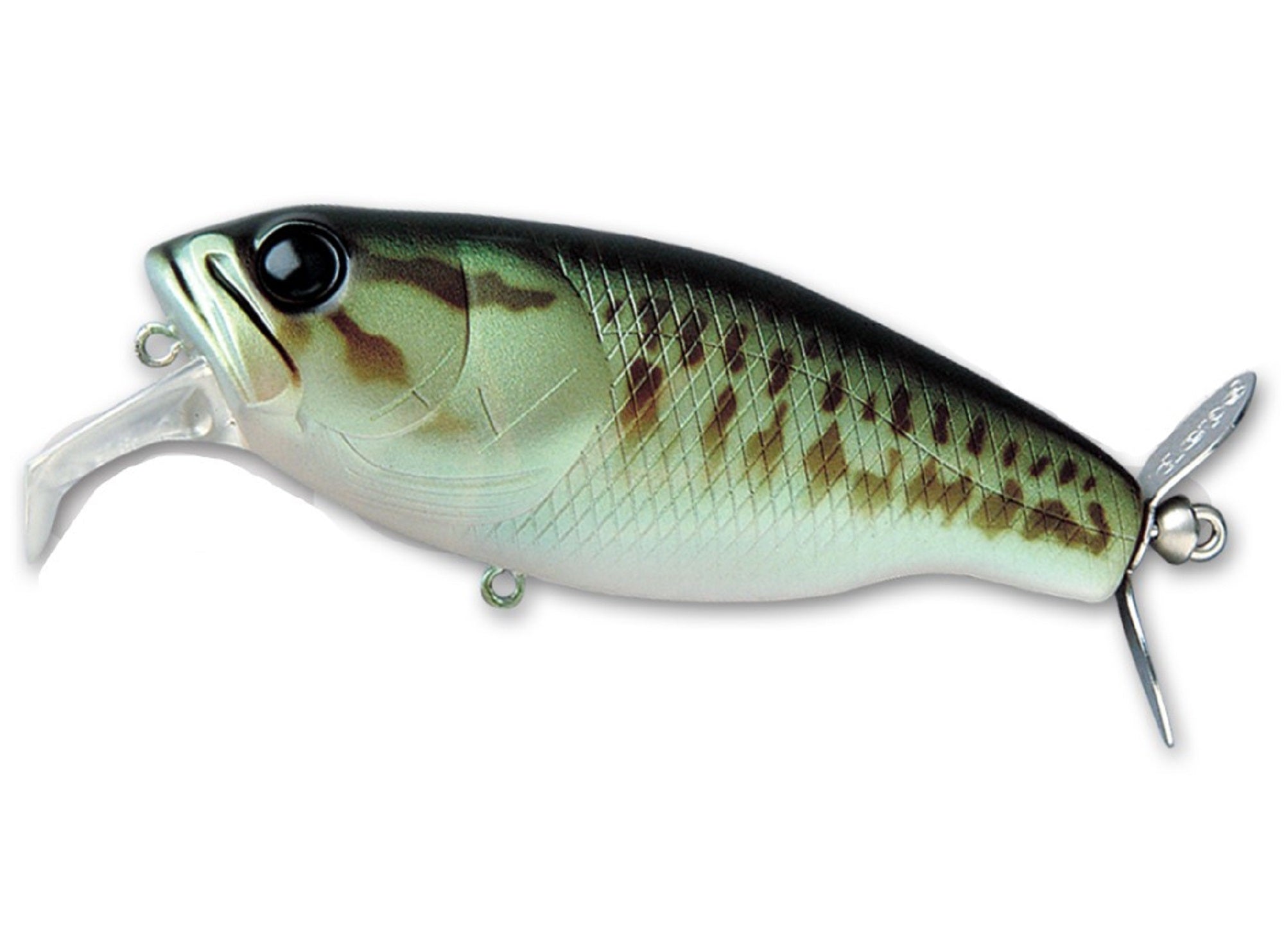 Lure Haven Singapore