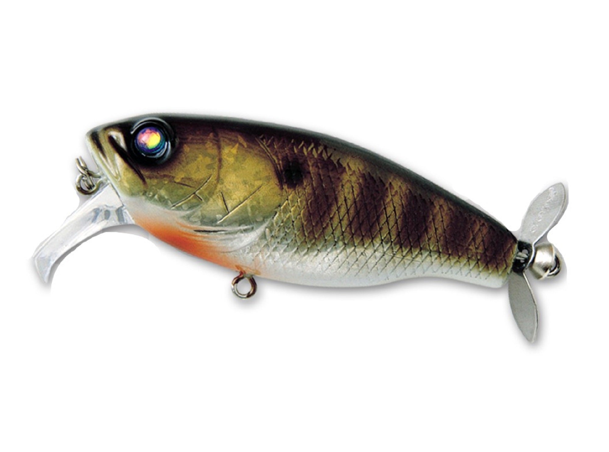 Lure Haven Singapore