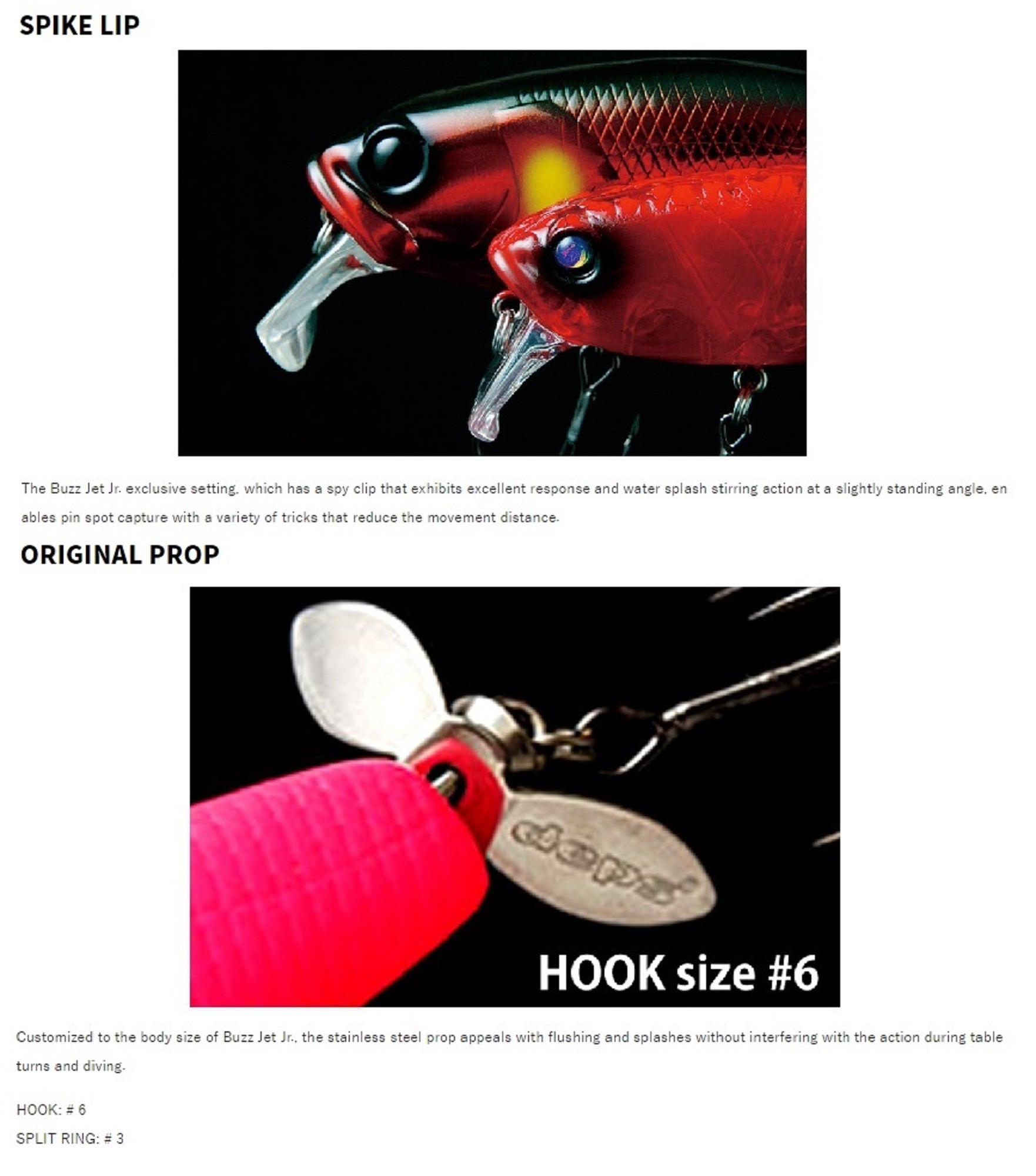 Lure Haven Singapore