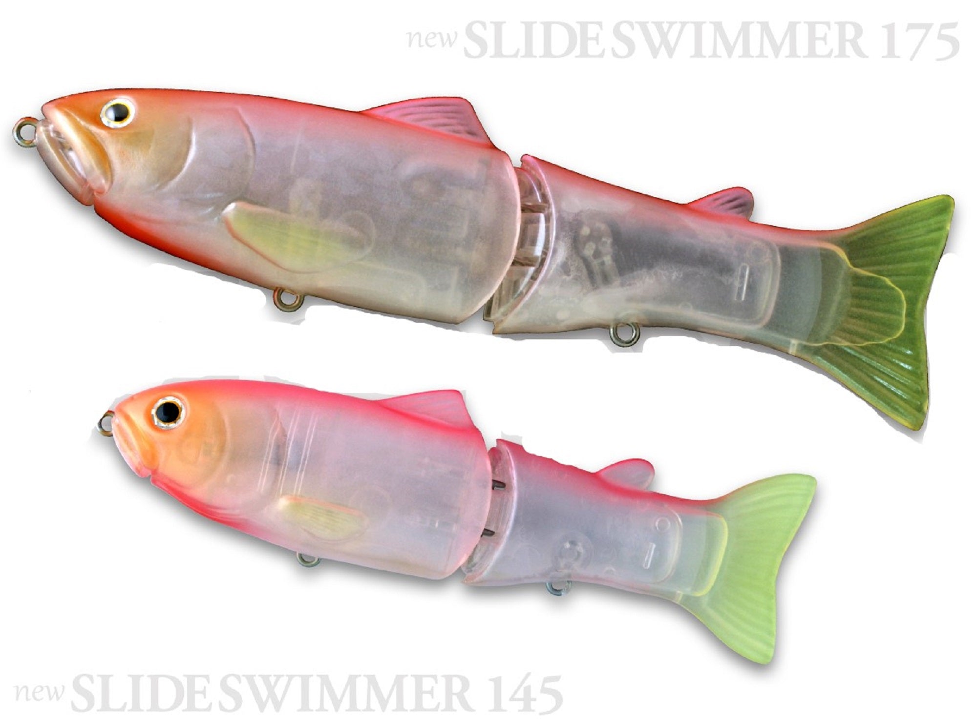 Lure Haven Singapore