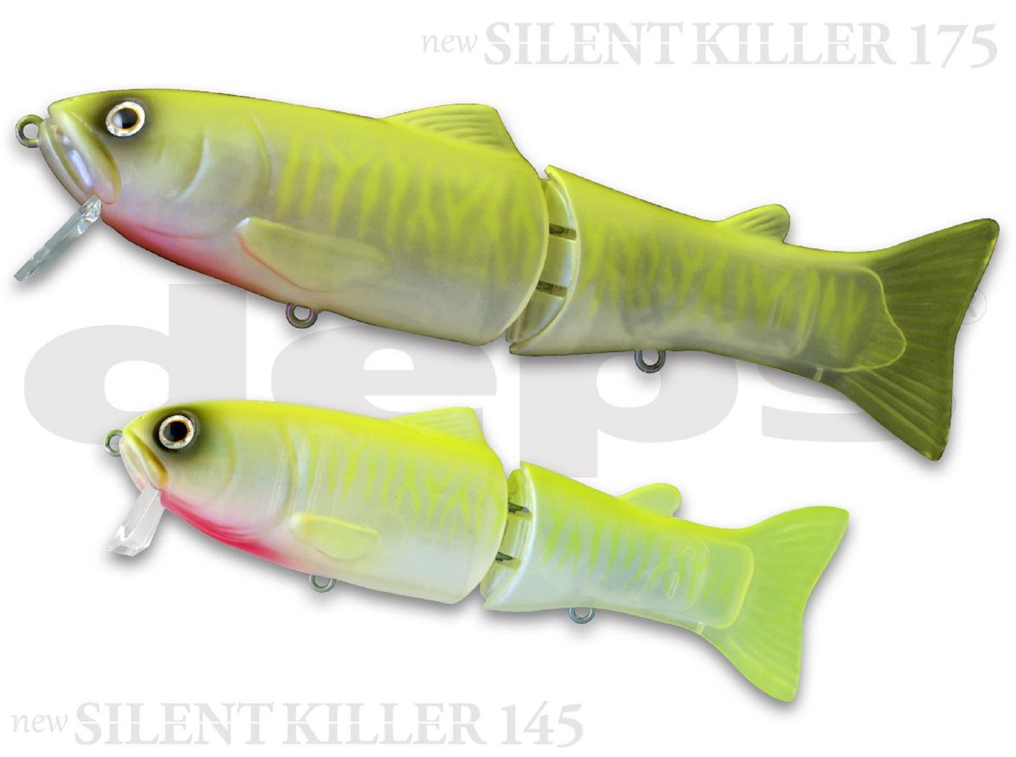 Lure Haven Singapore