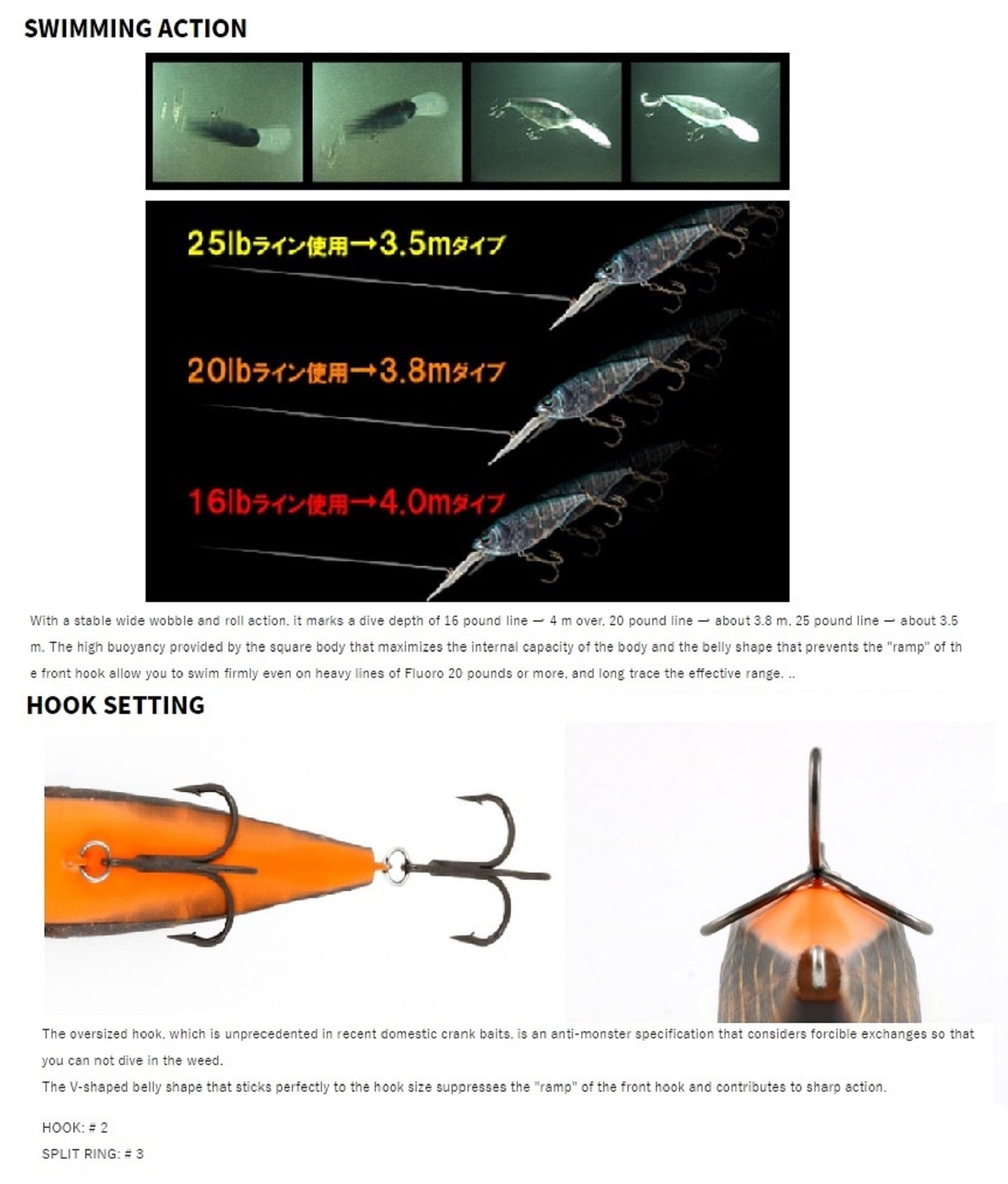 Lure Haven Singapore