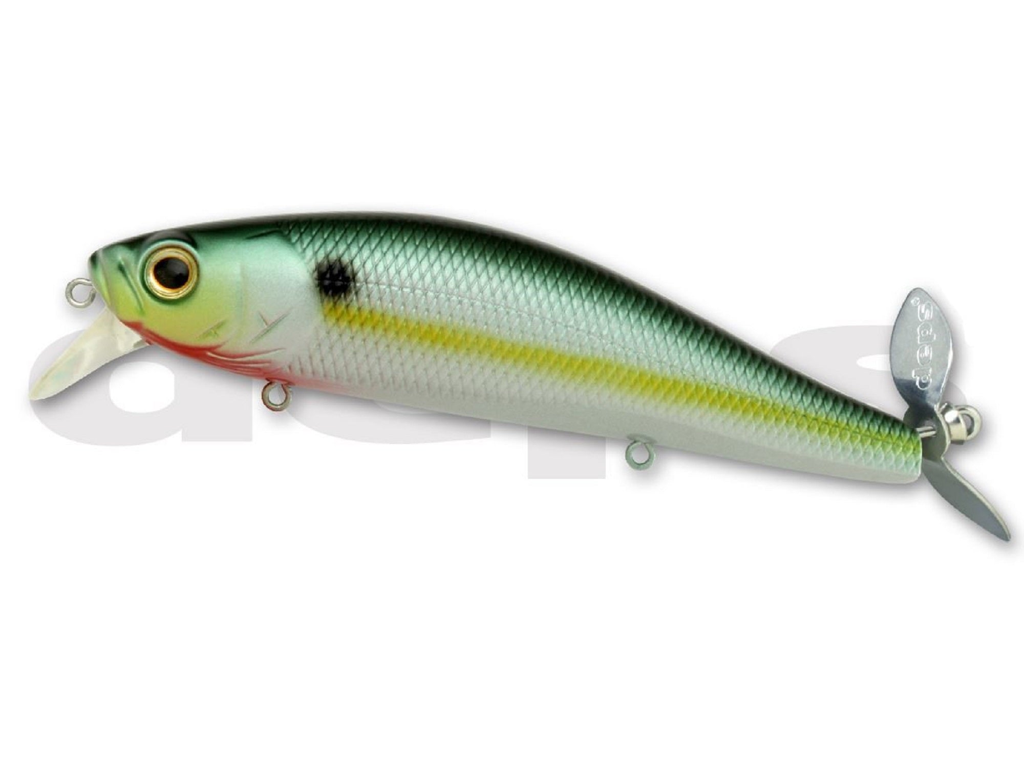 Lure Haven Singapore