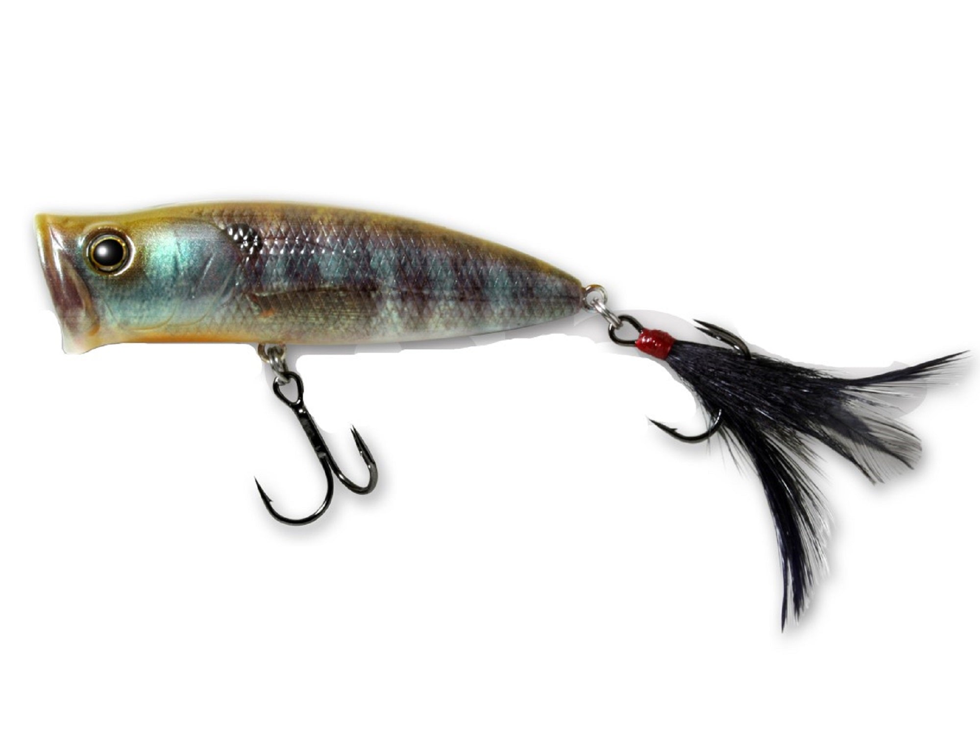Lure Haven Singapore