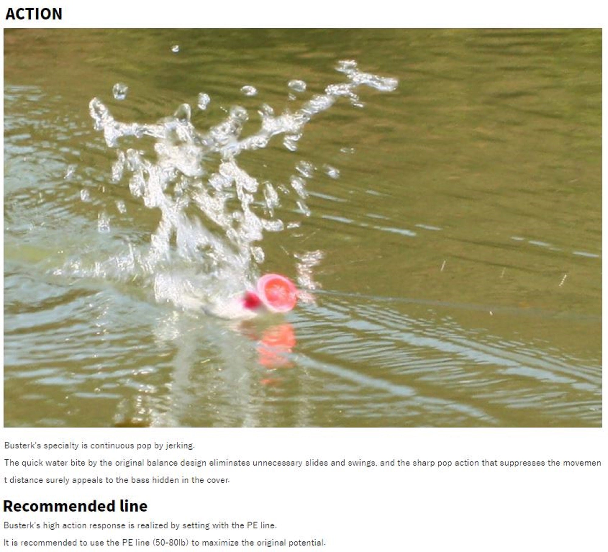 Lure Haven Singapore