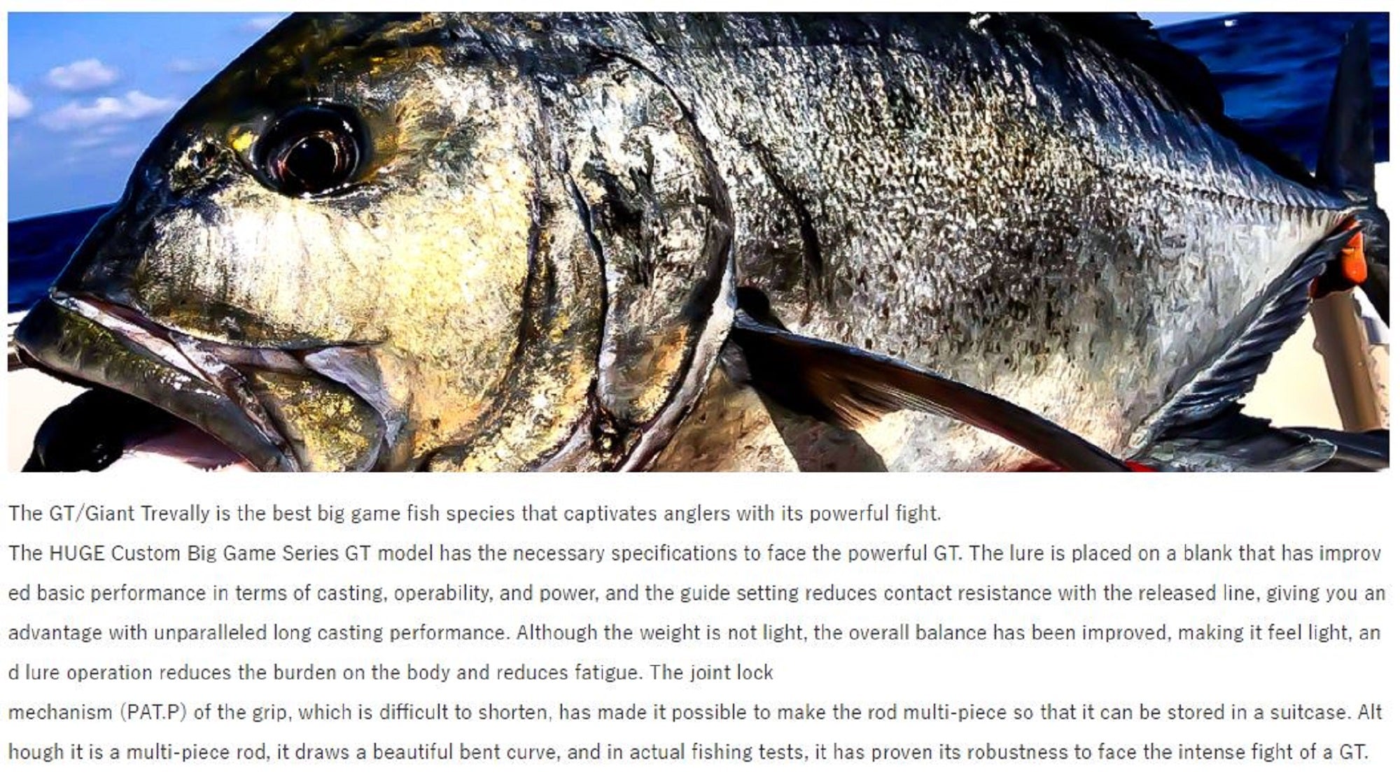 Deps Rod Spinning Huge Custom GT-824XH 4 Piece (2650)