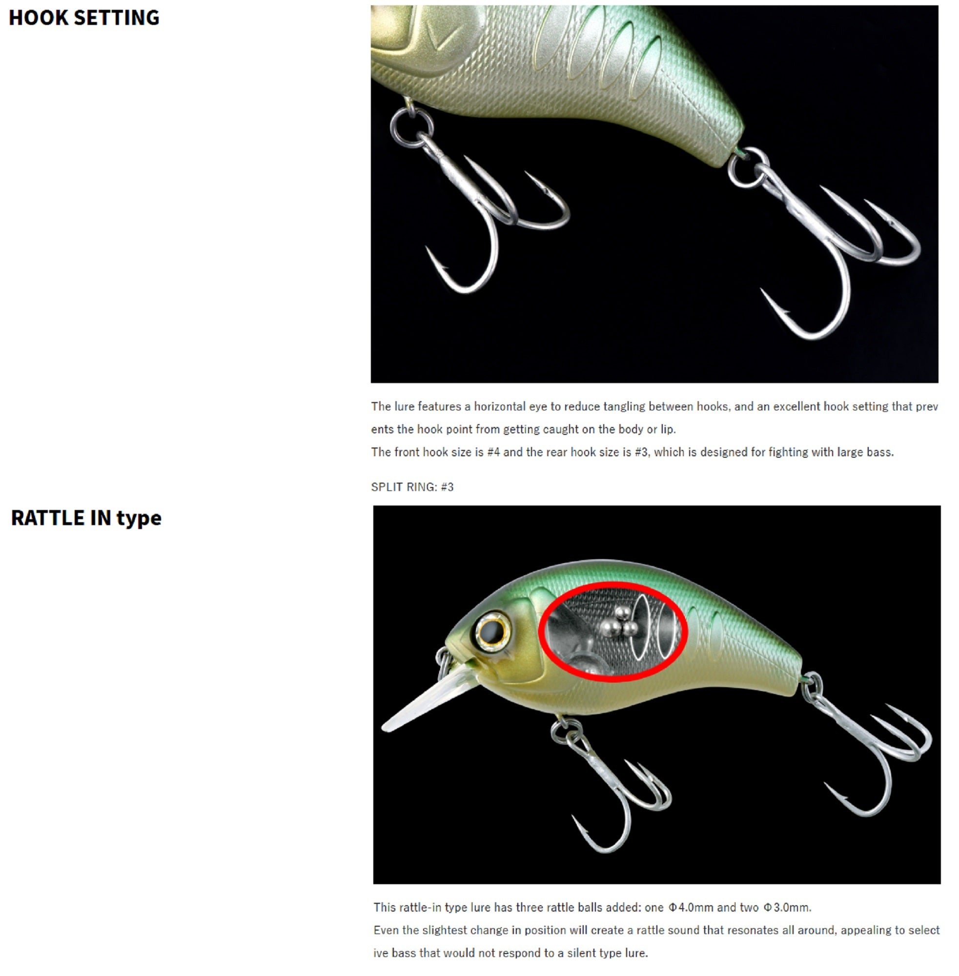 Lure Haven Singapore