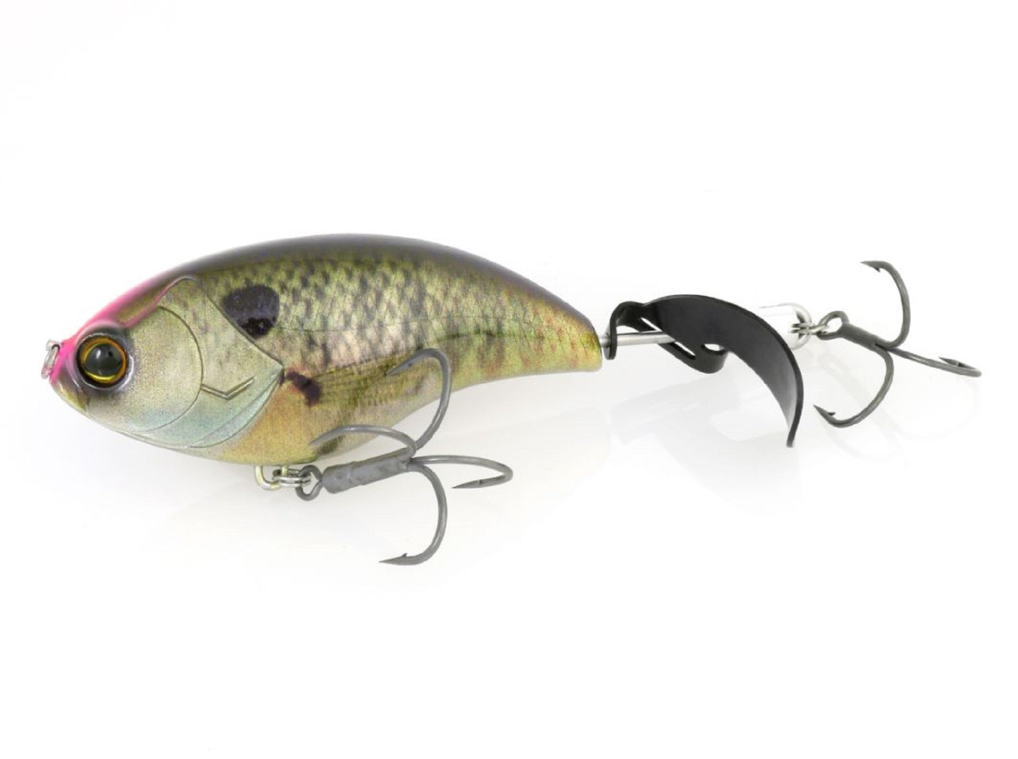 Lure Haven Singapore