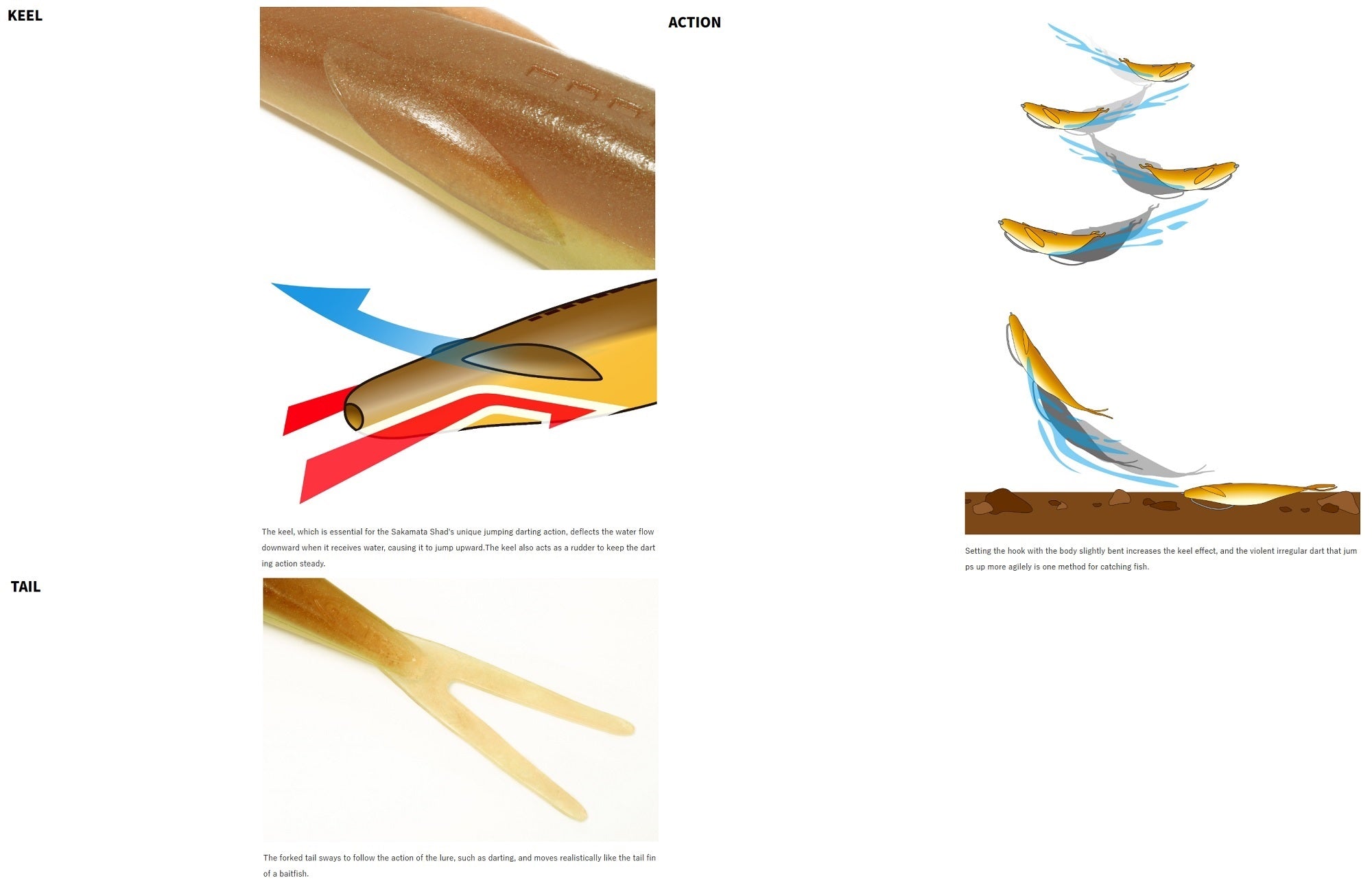 Lure Haven Singapore